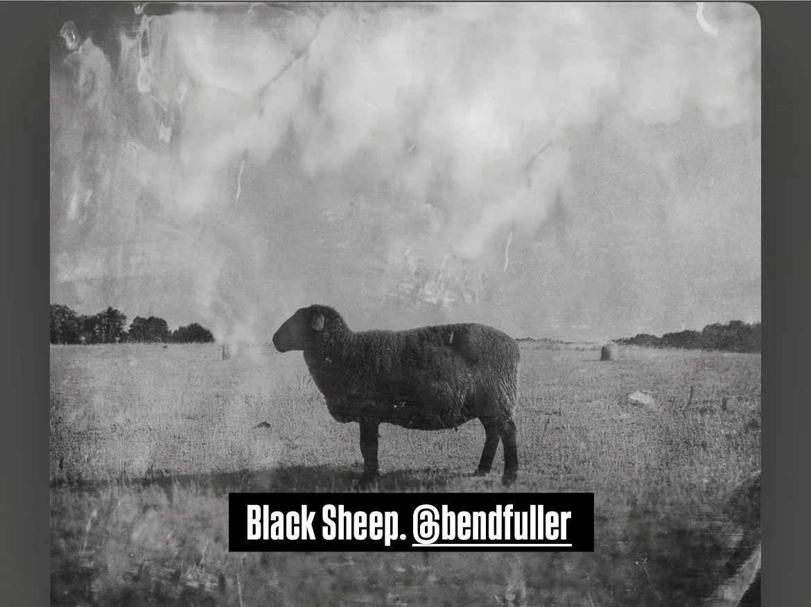 Black Sheep, Song By Ben Fuller. 2025.