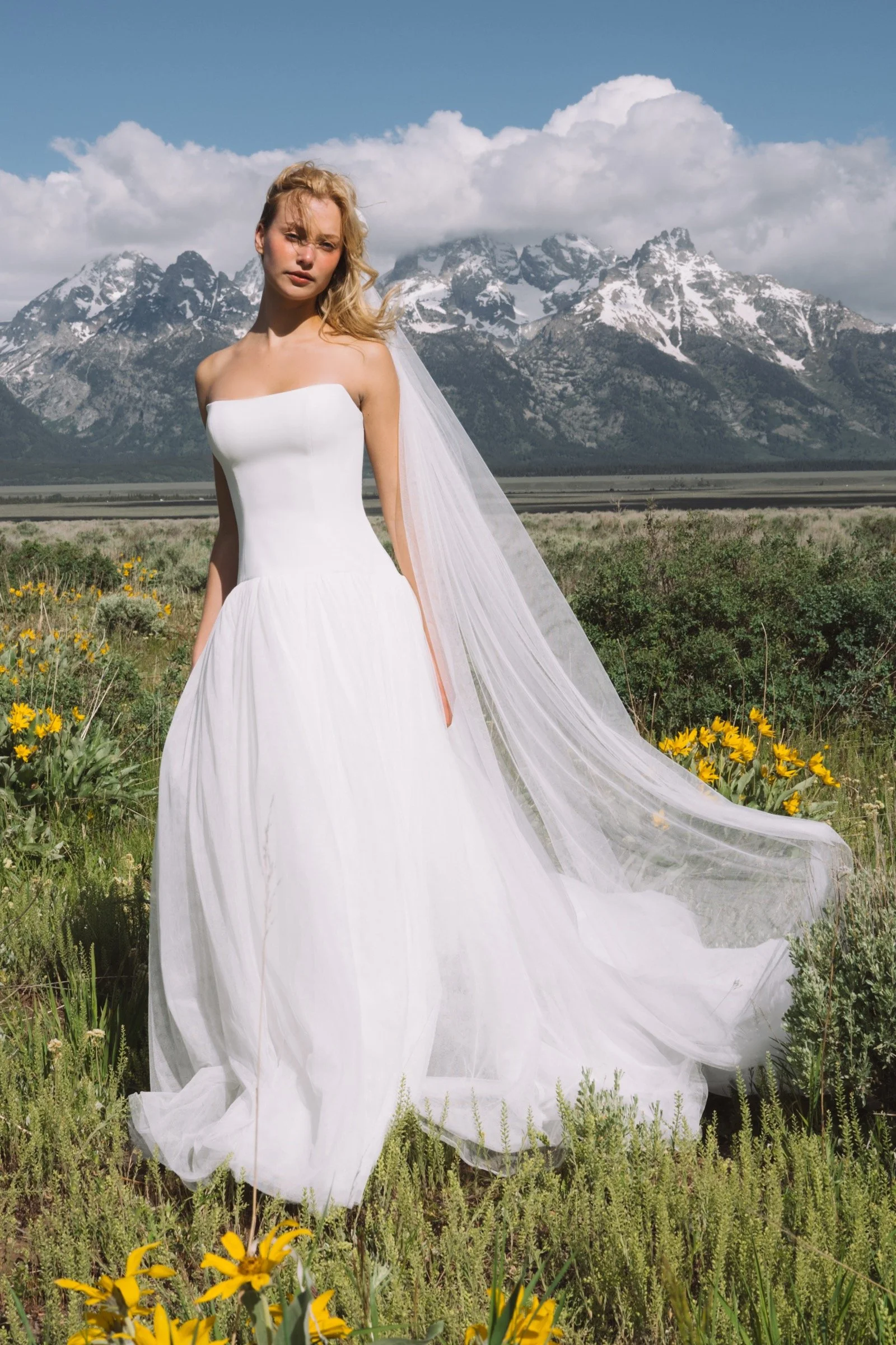 Brooks Brautkleid von Jenny Yoo mit trägerlosem Oberteil und tief sitzender Taille