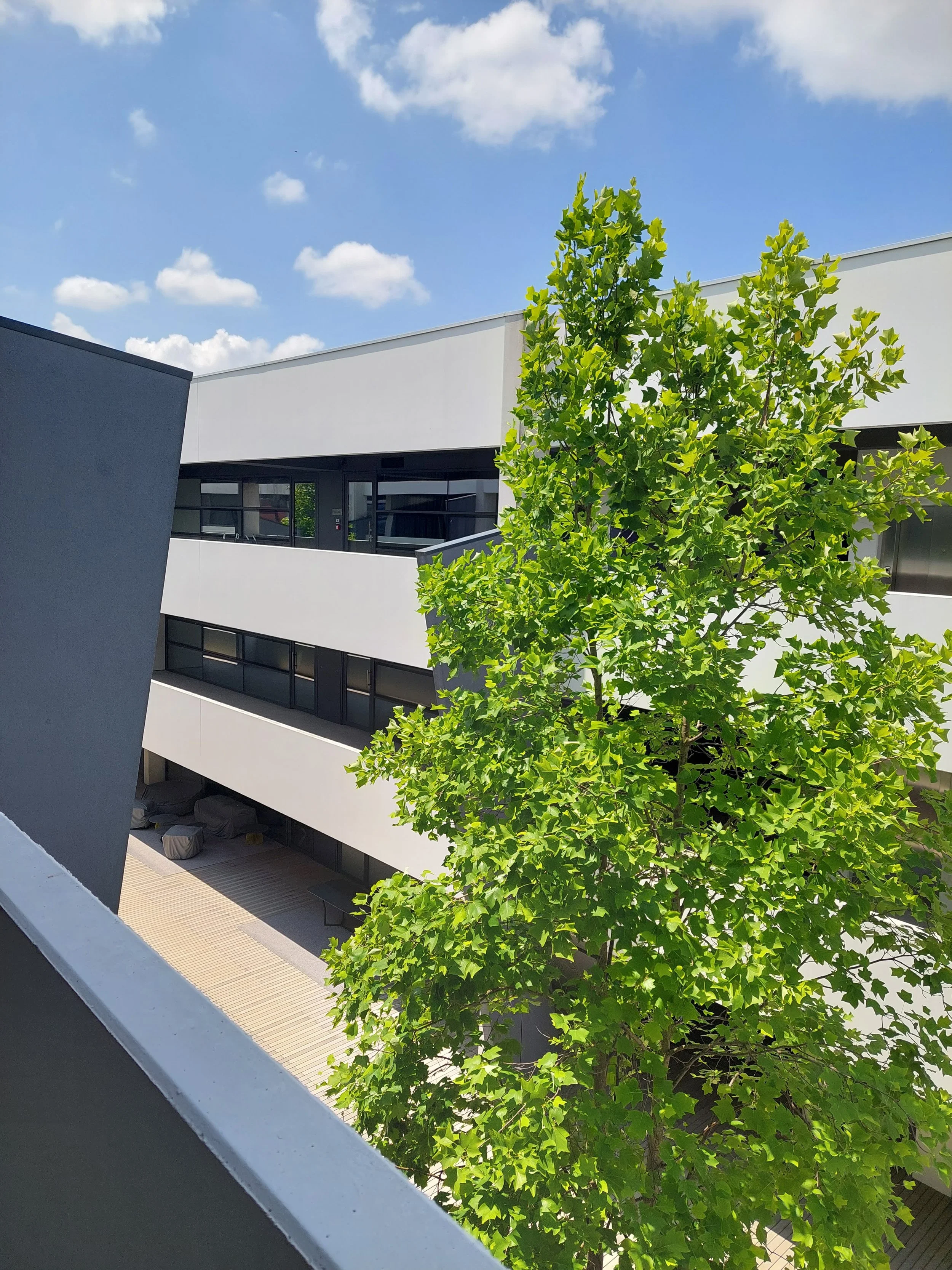 20240610_130226 (1).jpg