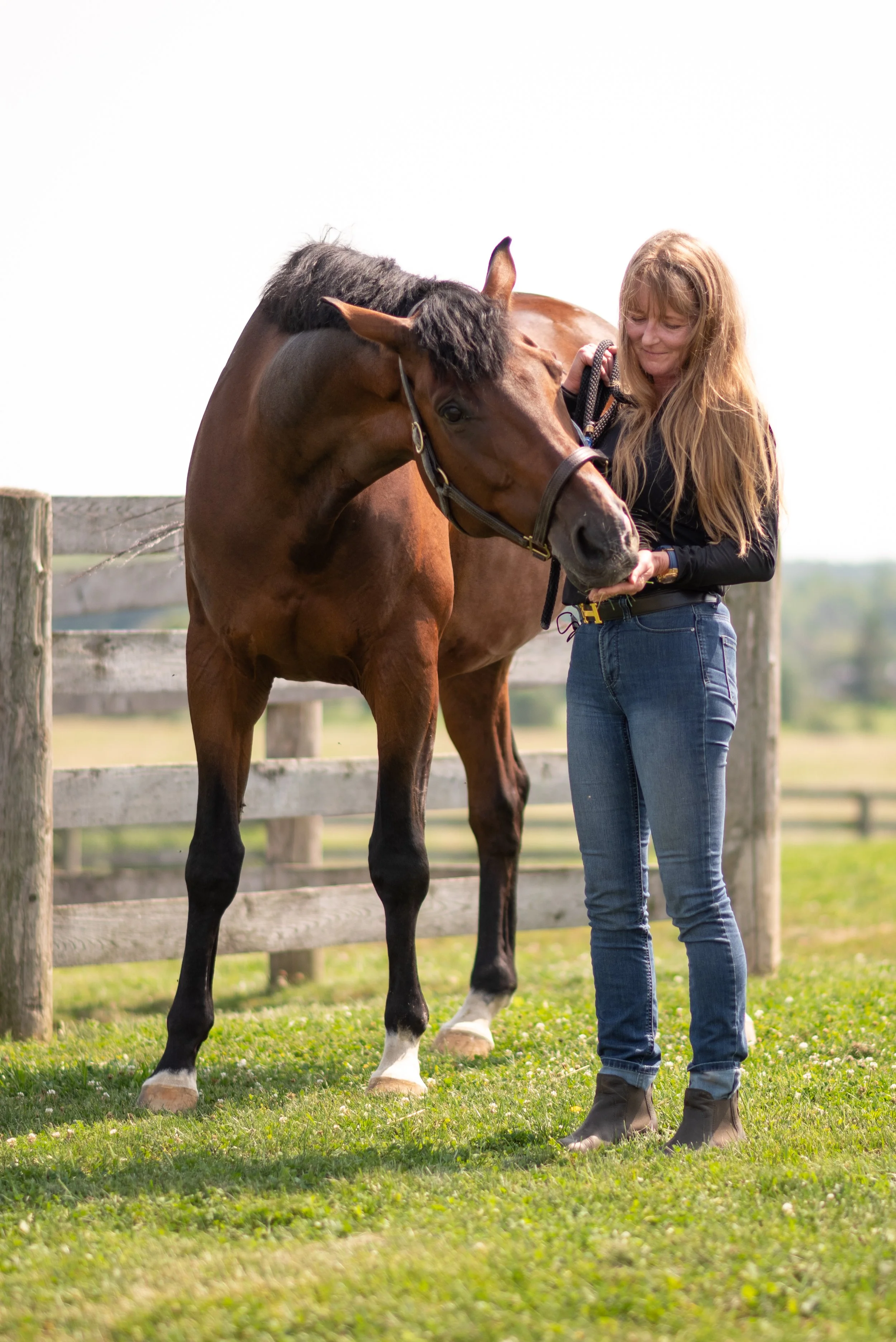 A massage therapist with long blonde hair and a black shirt standing outdoors with a brown horse. They are standing on green grass near a wooden fence. The background is a bright sky and open landscape.