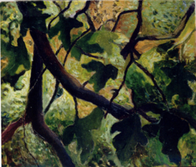 Screen Shot 2023-05-02 at 10.01.54 AM copy.png