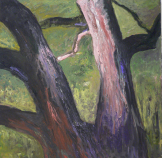 Screen Shot 2023-05-02 at 10.02.50 AM copy.png