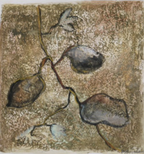 Screen Shot 2023-05-02 at 10.01.42 AM copy.png