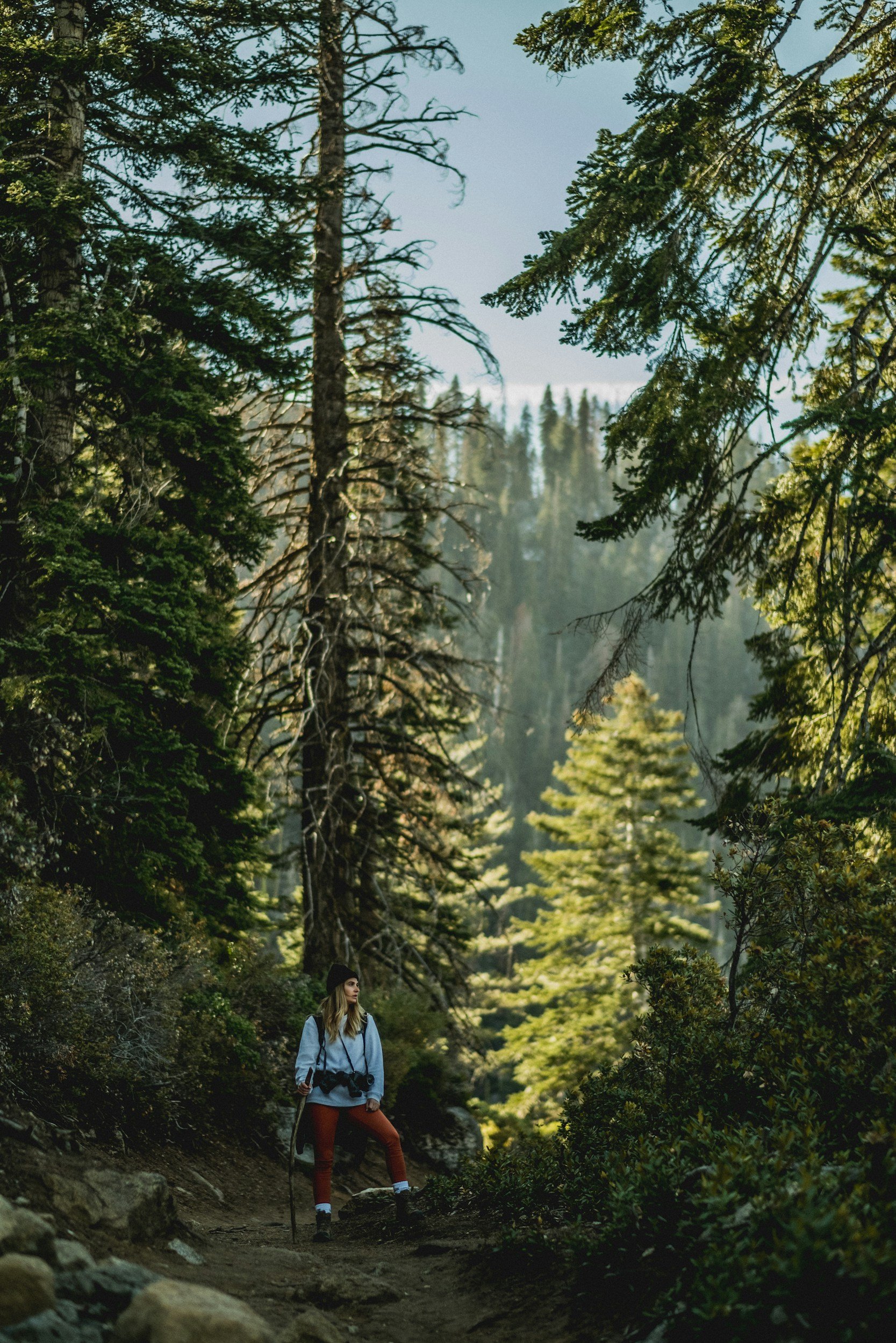 Woman hiking in Colorado with a camera eqquiped and dense woods behind her.