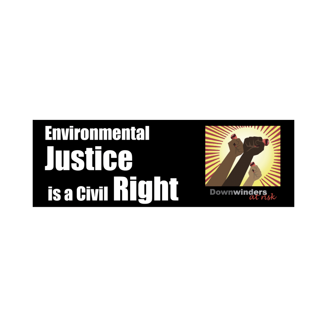 DominiqueAndersonConsulting (1).png