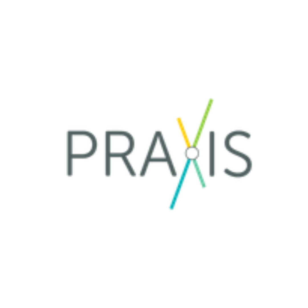 Praxis.png