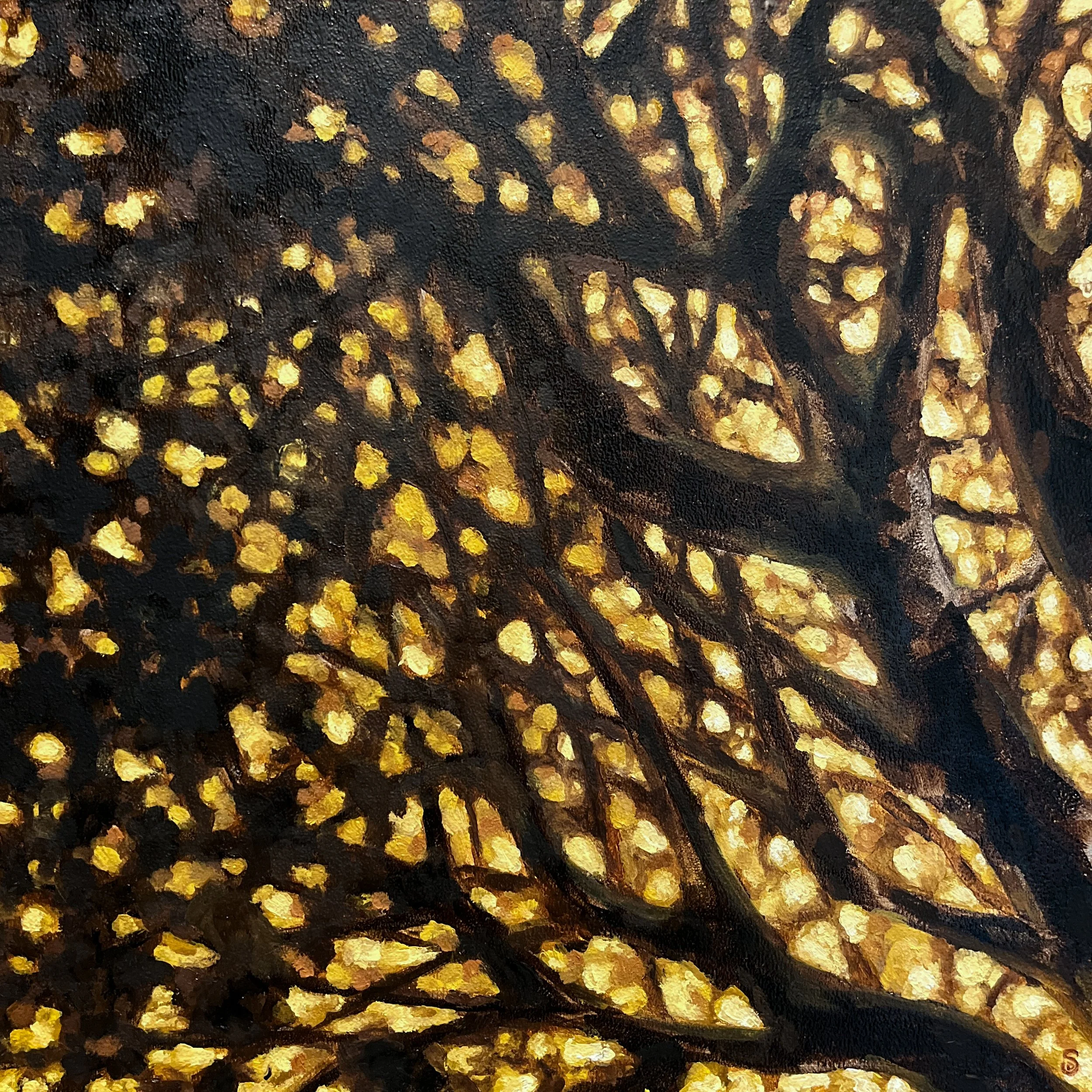 Dappled Sunset_12x12_Dunn.JPG