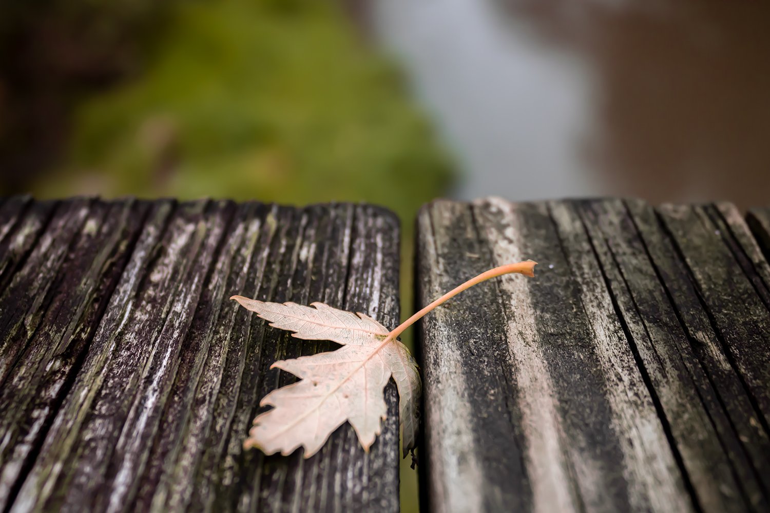 Novotny_Project1_006 copy.jpg