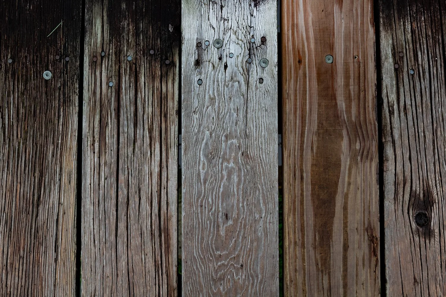 Novotny_Project1_002 copy.jpg