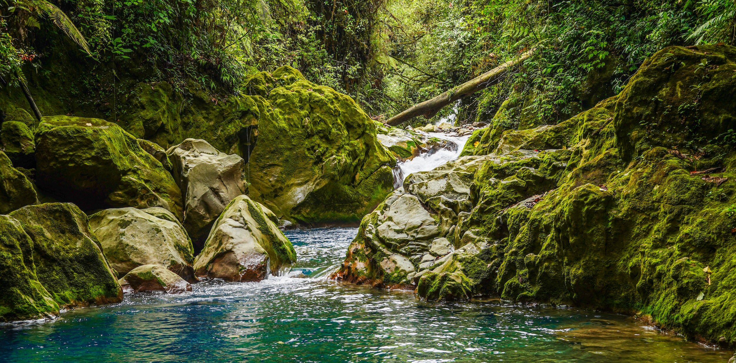 Tenorio National Park