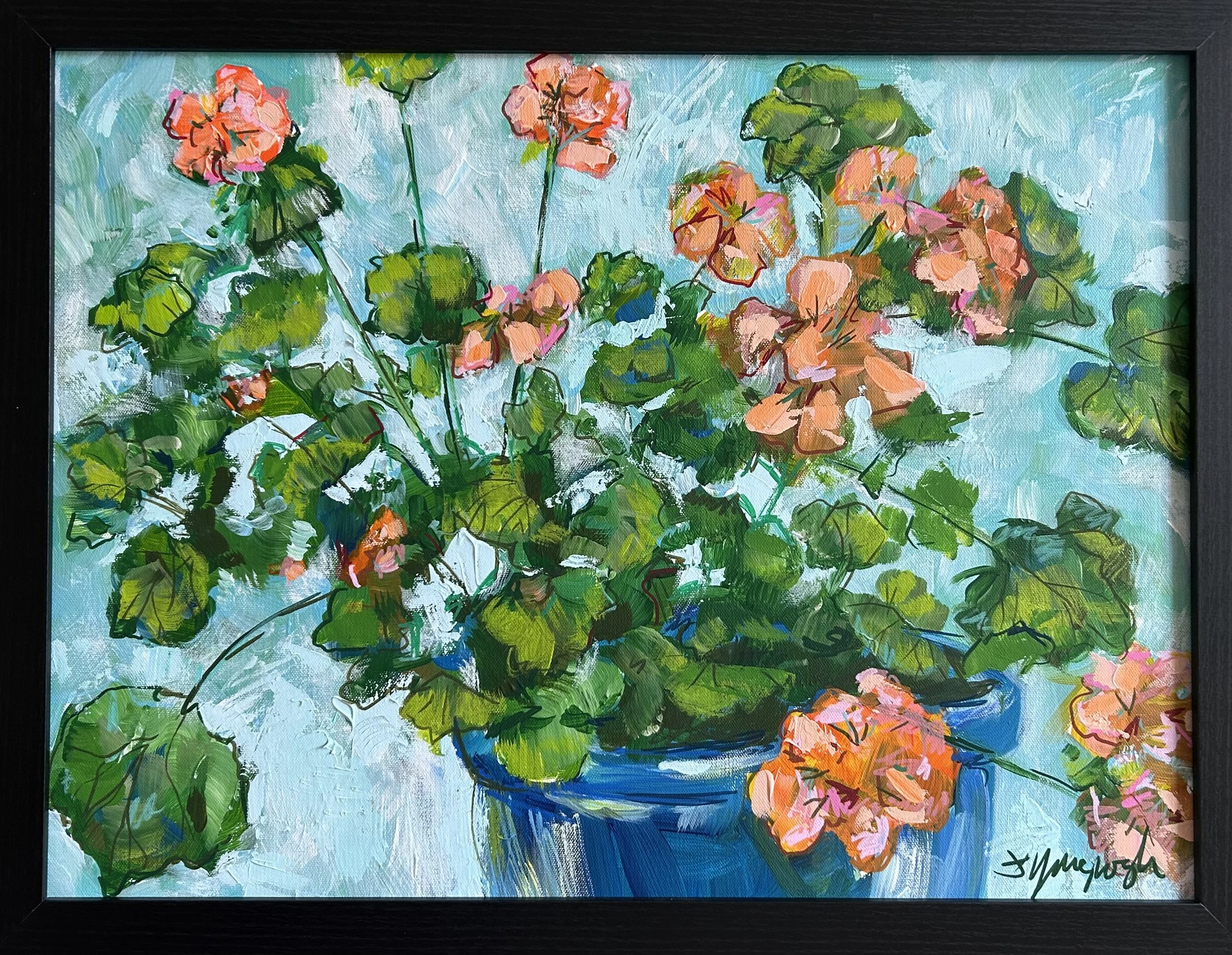 Pot of Geraniums
