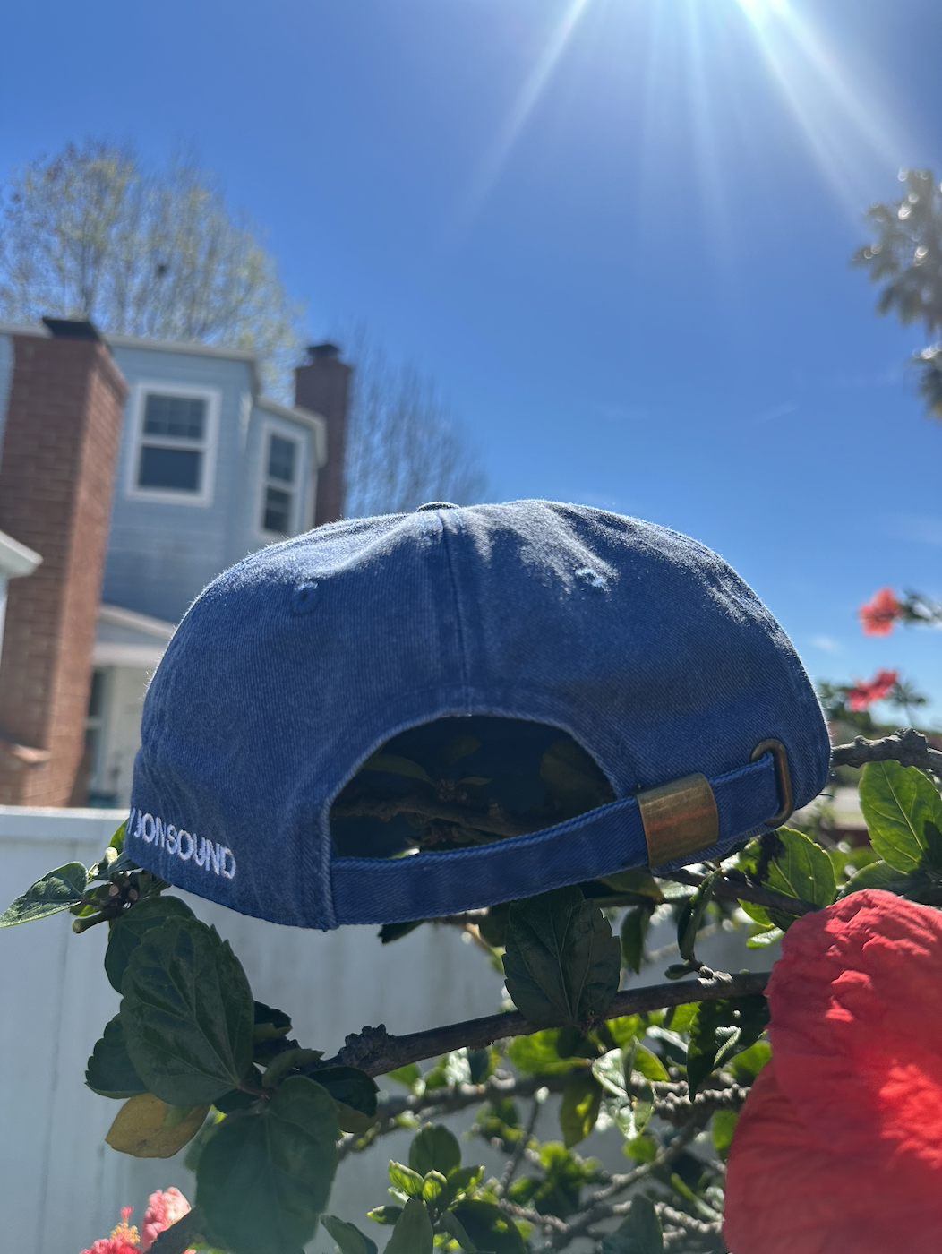 BJS Blue Hat (back).png