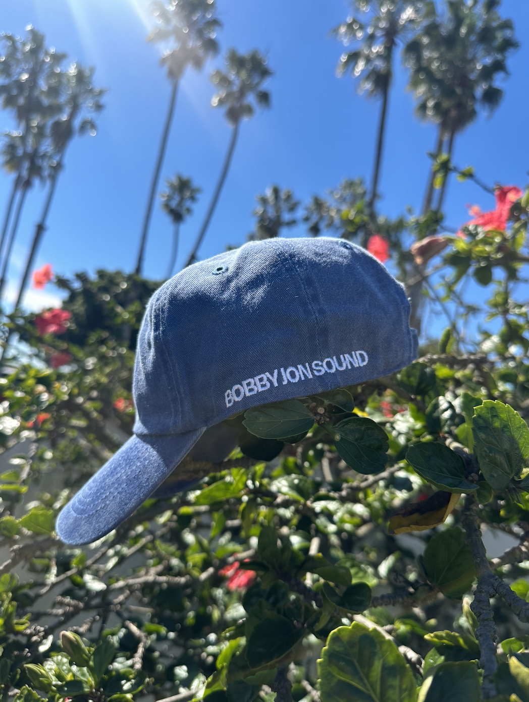 BJS Blue Hat (side).png