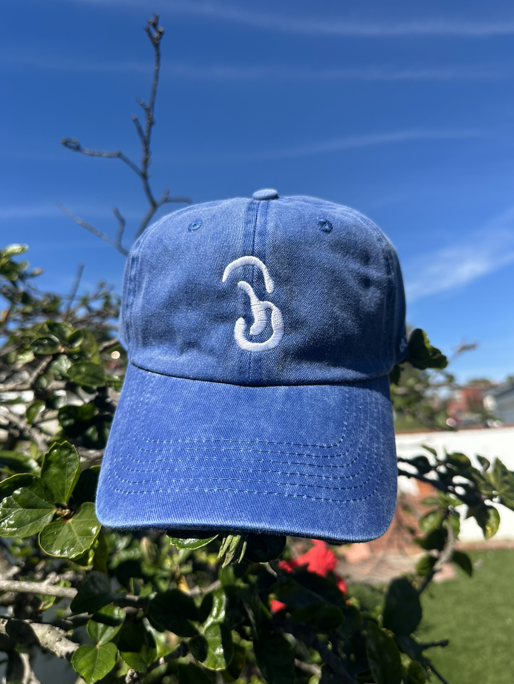 BJS Blue Hat (front) .png