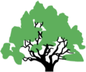 SHREVEPORT GREEN