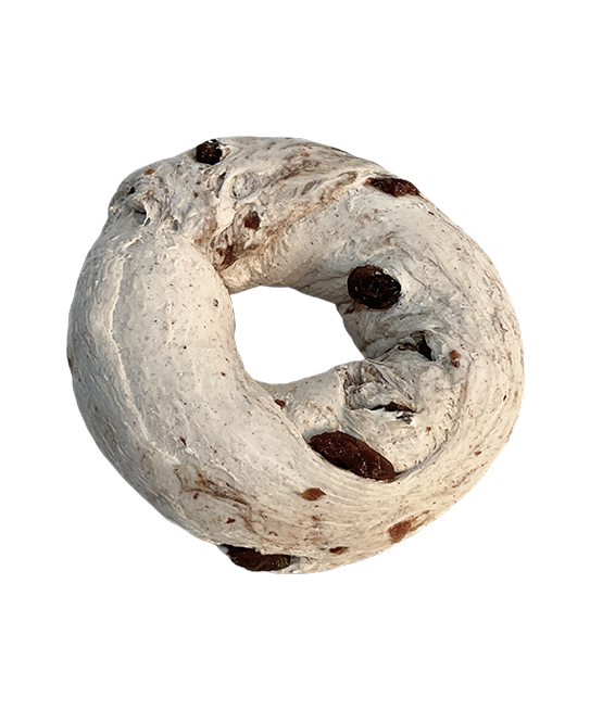 1430-Cinnamon-Raisin-Bagel-single-01.png