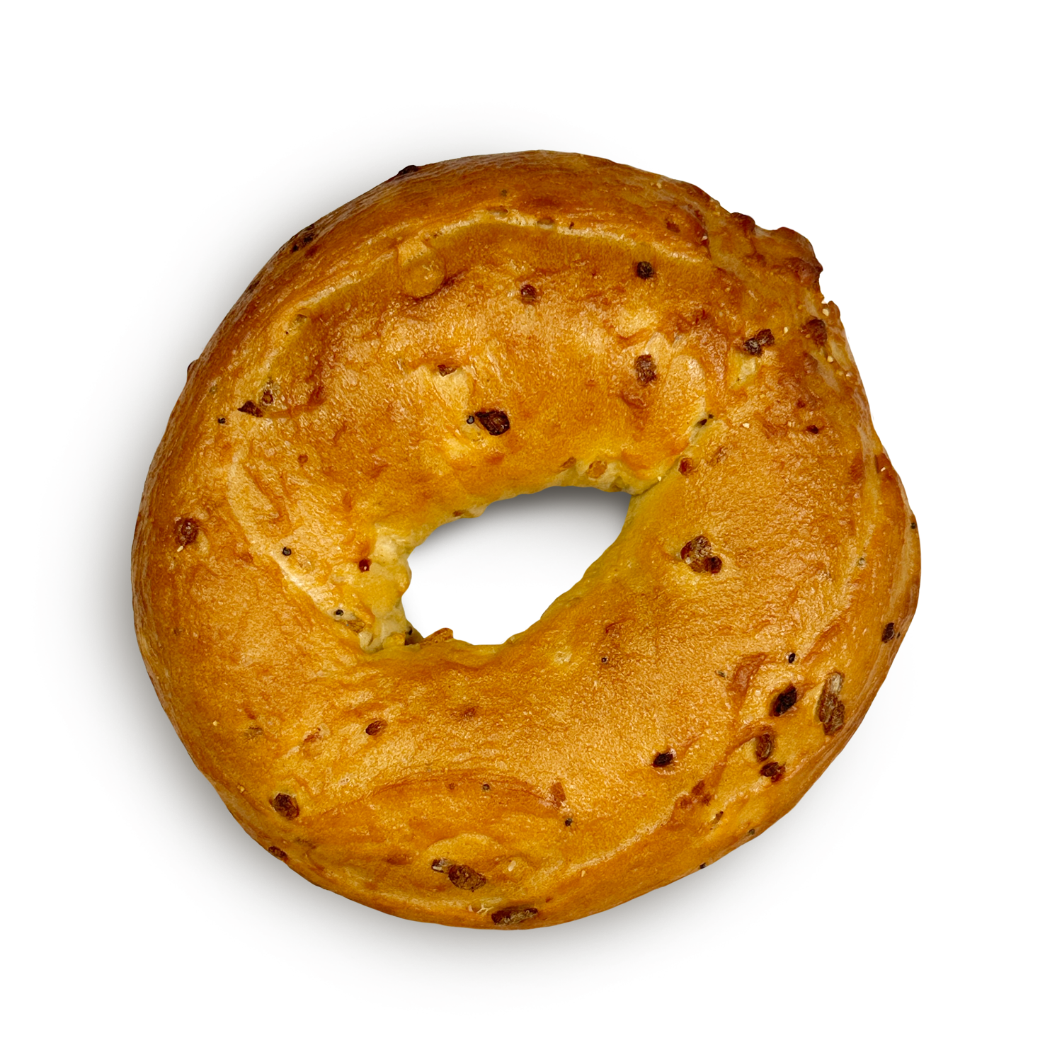 9142_Onion_Bagel_Web1.png