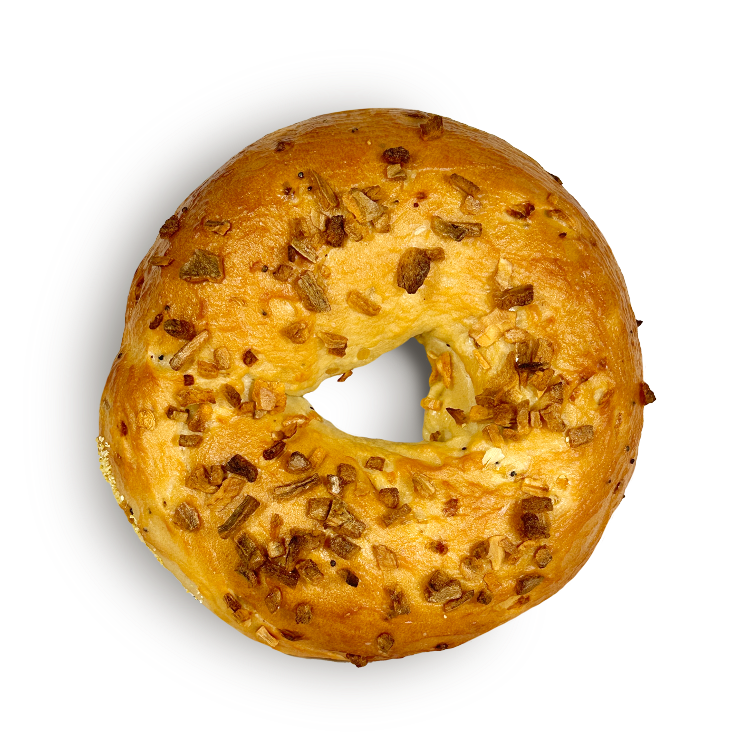 9142_Onion_Bagel_Web4.png