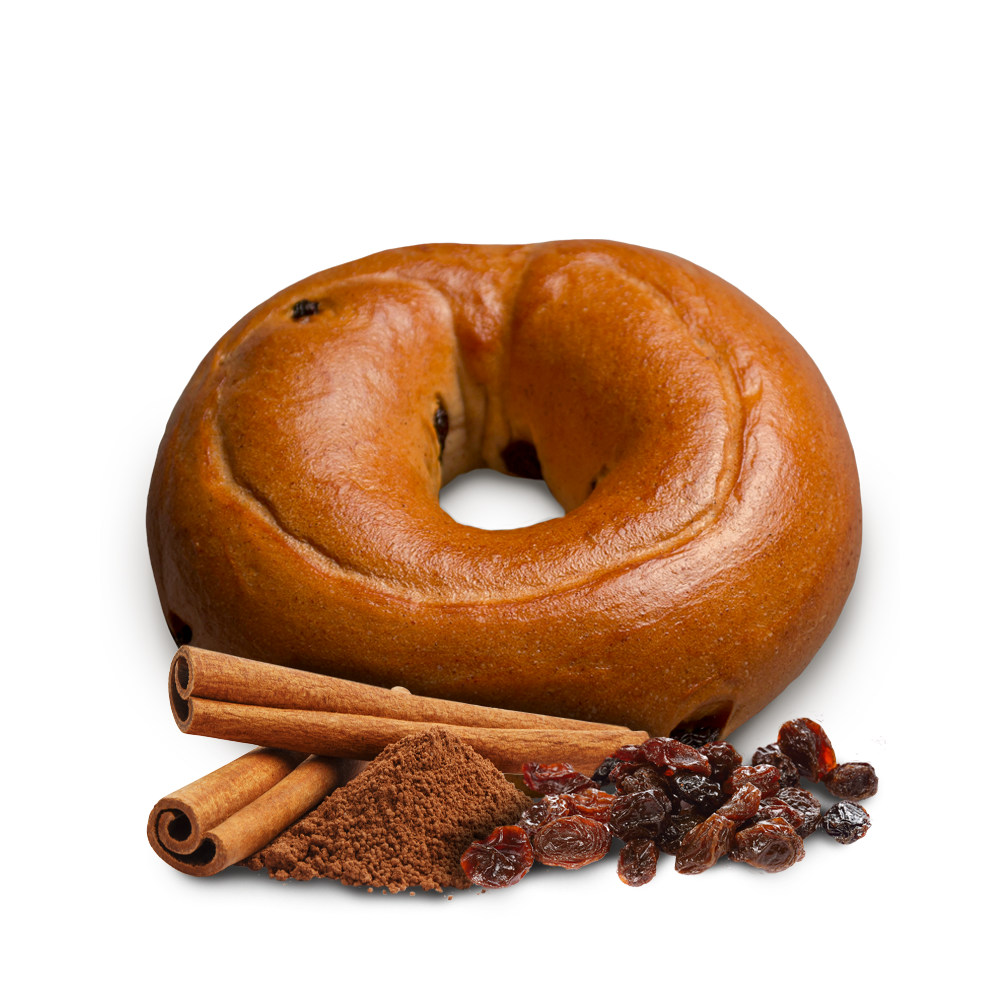 9130_Cinnamon_Raisin_Bagel_Graphic.png