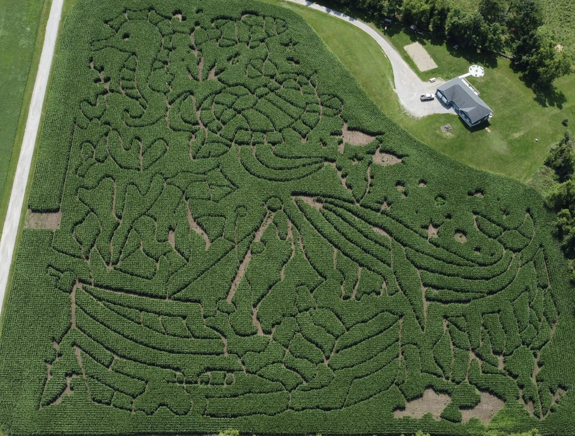 McQuaid’s Corn Maze and Pumpkin Patch
