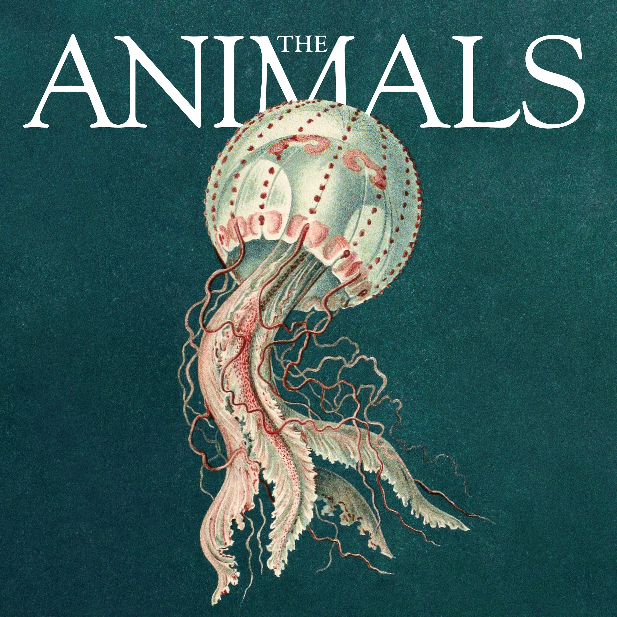 EIA-The-Animals-cover.jpeg