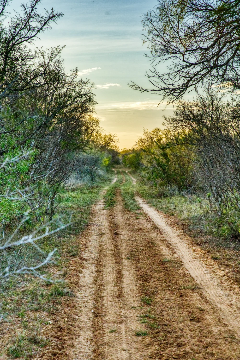 FEATURED LISTINGS — ORANGE BLOSSOM REAL ESTATE