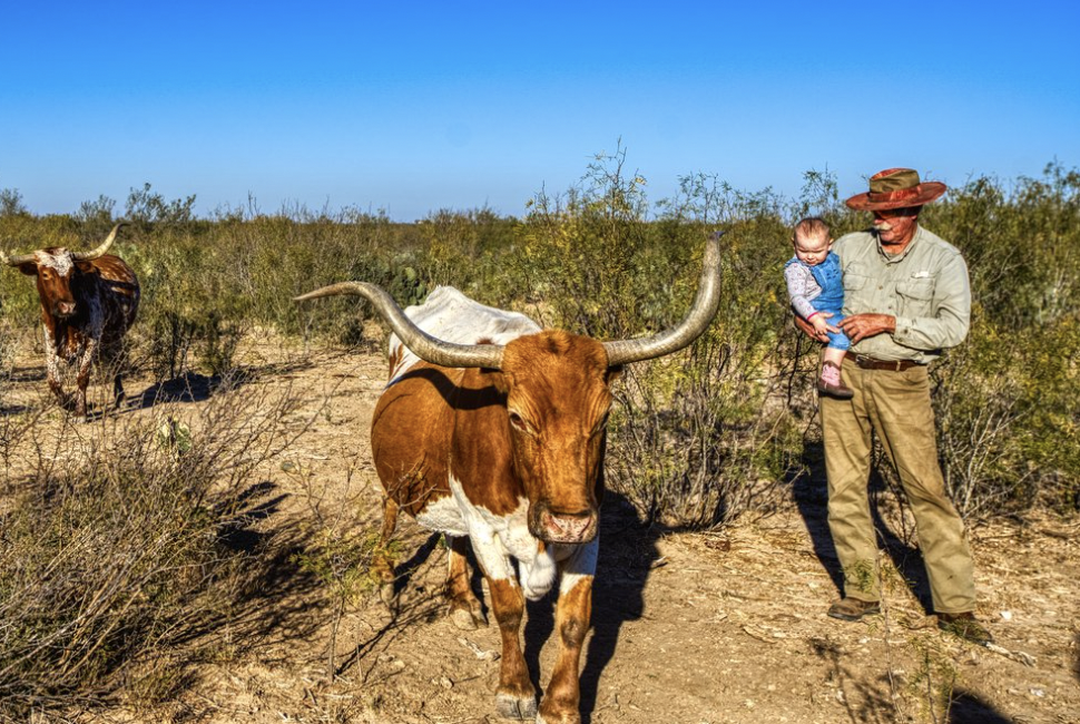 ORANGE BLOSSOM REAL ESTATE