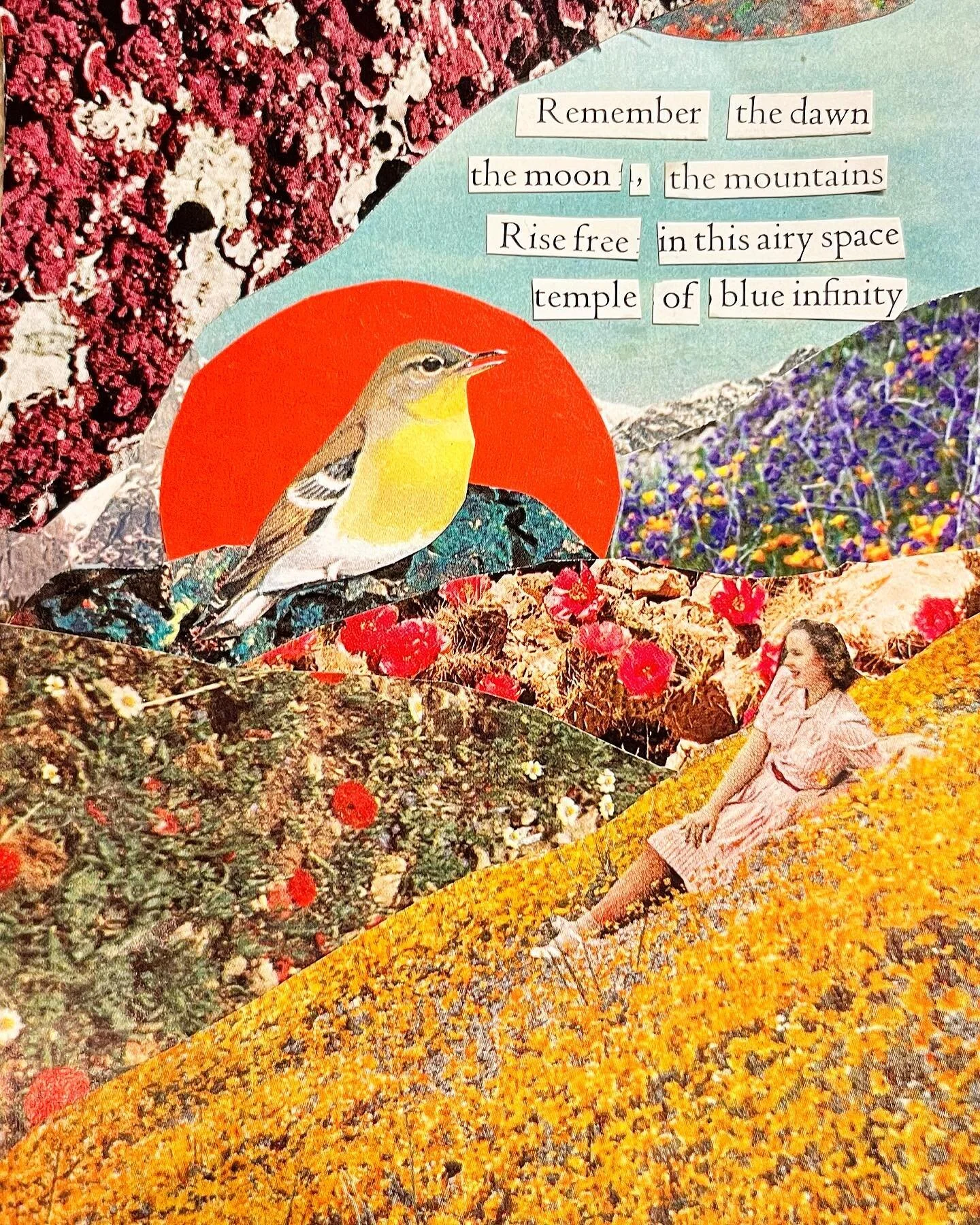 &lsquo;Song of Serenity&rsquo;
5 inches x 8 inches 
Original analog poem collage 
for my dear friend @lizlee333 
☀️🌄🕊💗