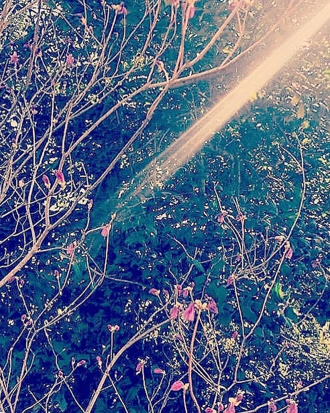 I used to think that if I didn&rsquo;t &lsquo;use&rsquo; my creativity, that it would wither away&mdash;never to return as it had once so beautifully emerged. But, as I learned recently&mdash;that&rsquo;s not true.

When we are feeling chronically st