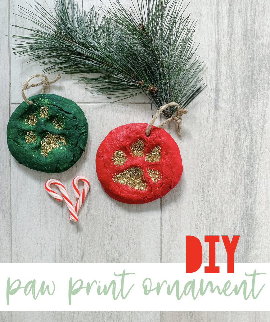 DIY Paw Print Ornament Gift pack