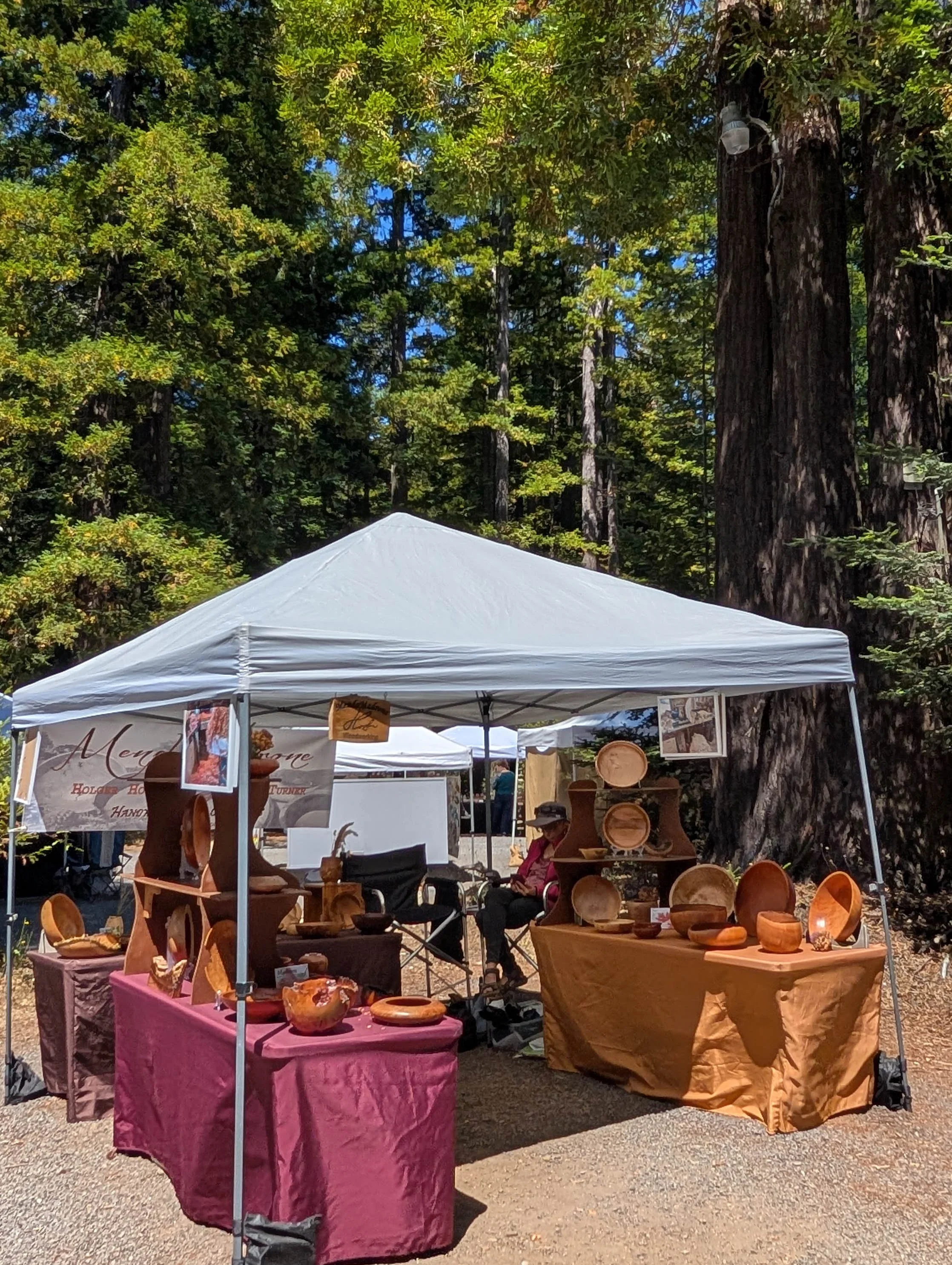 Gualala Arts - Art in the Redwoods