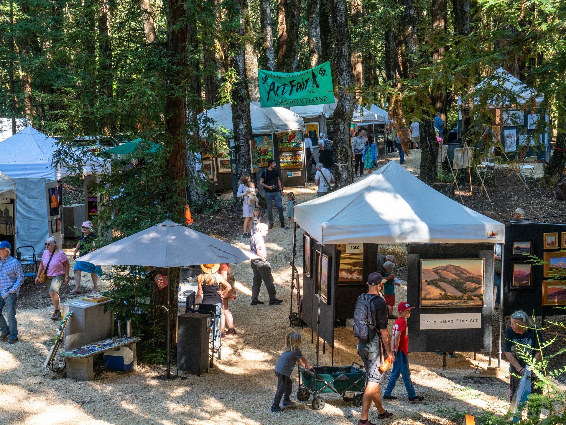 62nd Annual Kings Mountain Art Fair