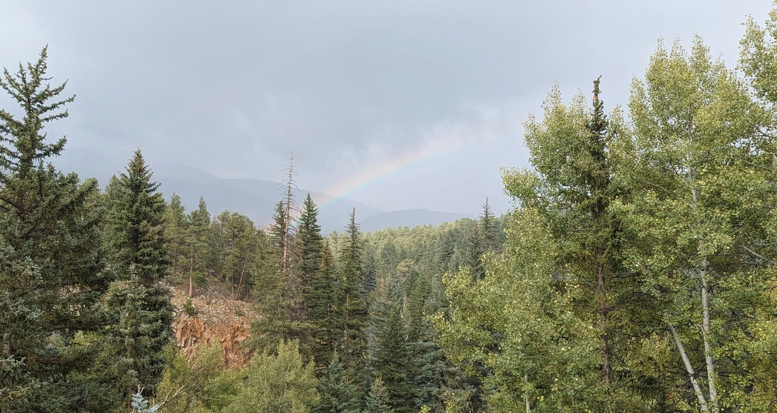 Evening, after a rainstorm.