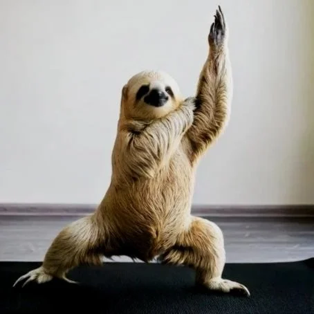 All levels yoga students moving through gentle vinyasa sequence