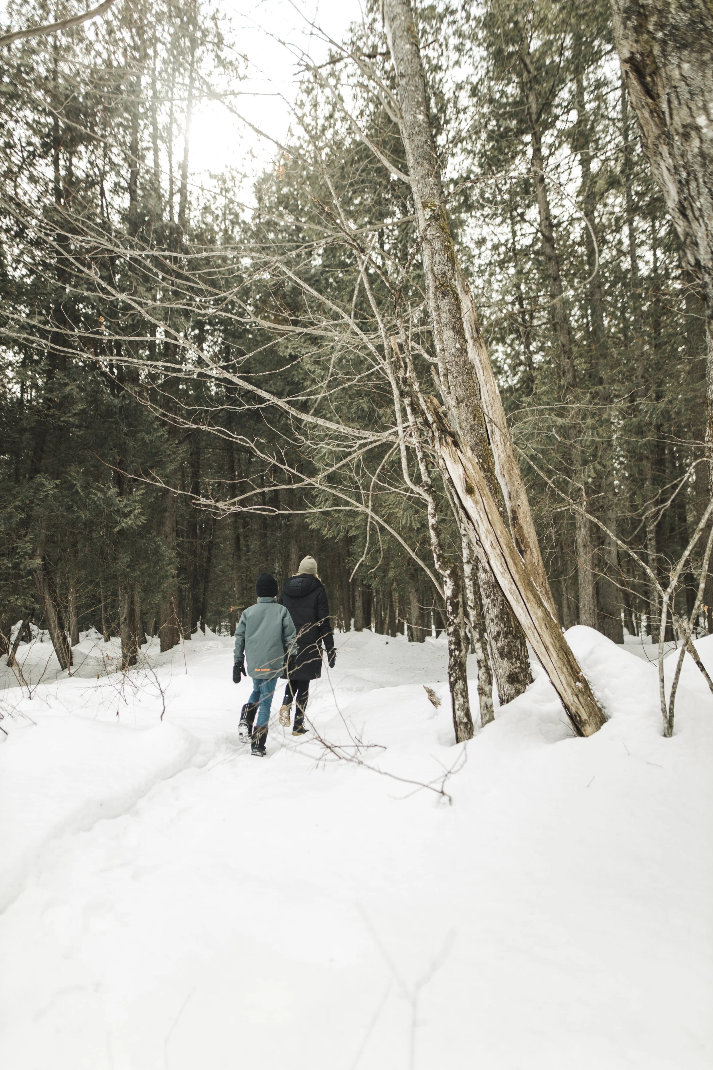 Epreuve_Commercial_Livre-Les-Belles-Combines_Dominique-Berneche_Tome-2_Mars-2023_Hiver-Printemps_LALOR-photographie-772.jpg