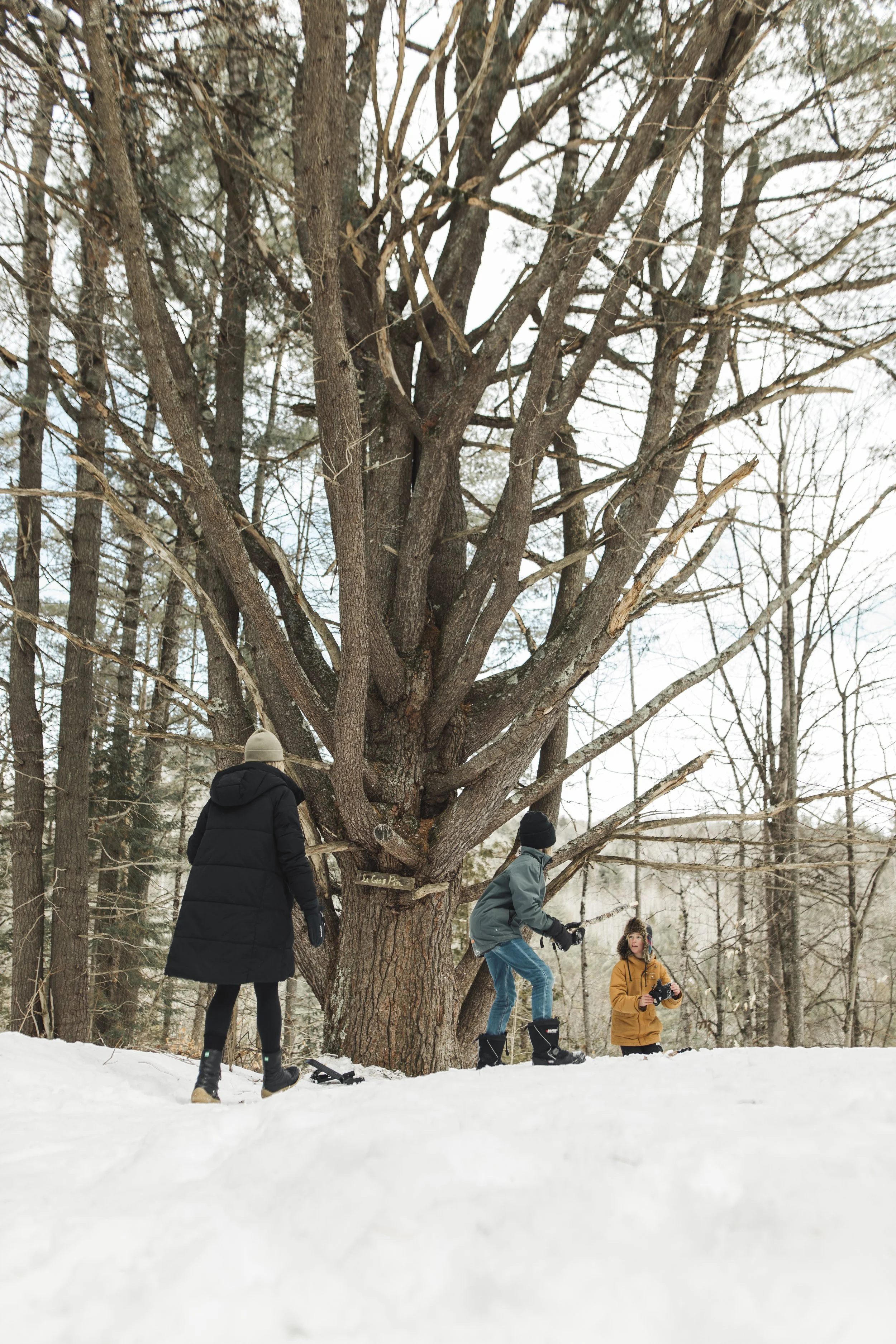 Epreuve_Commercial_Livre-Les-Belles-Combines_Dominique-Berneche_Tome-2_Mars-2023_Hiver-Printemps_LALOR-photographie-715.jpg