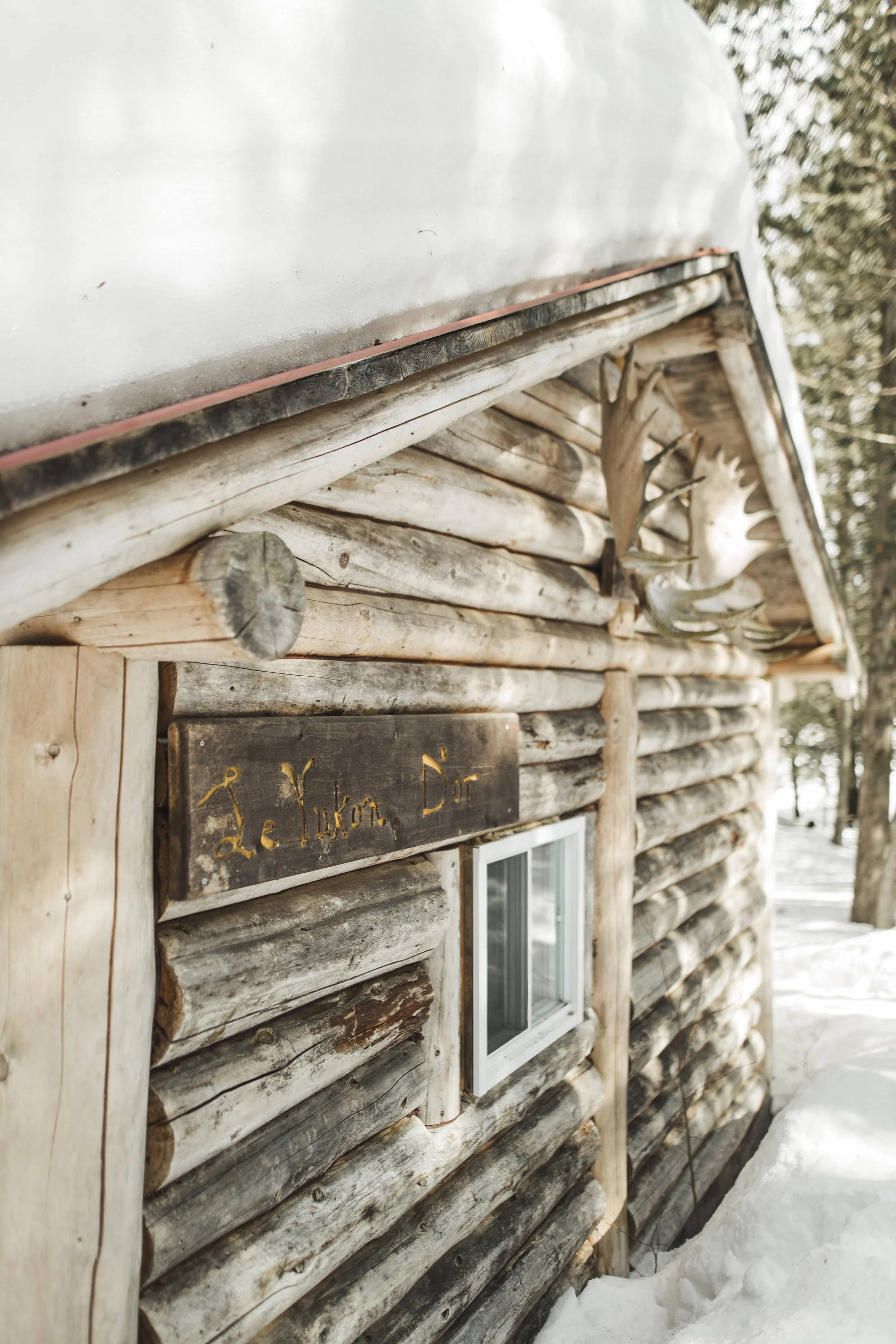 Epreuve_Commercial_Livre-Les-Belles-Combines_Dominique-Berneche_Tome-2_Mars-2023_Hiver-Printemps_LALOR-photographie-738.jpg