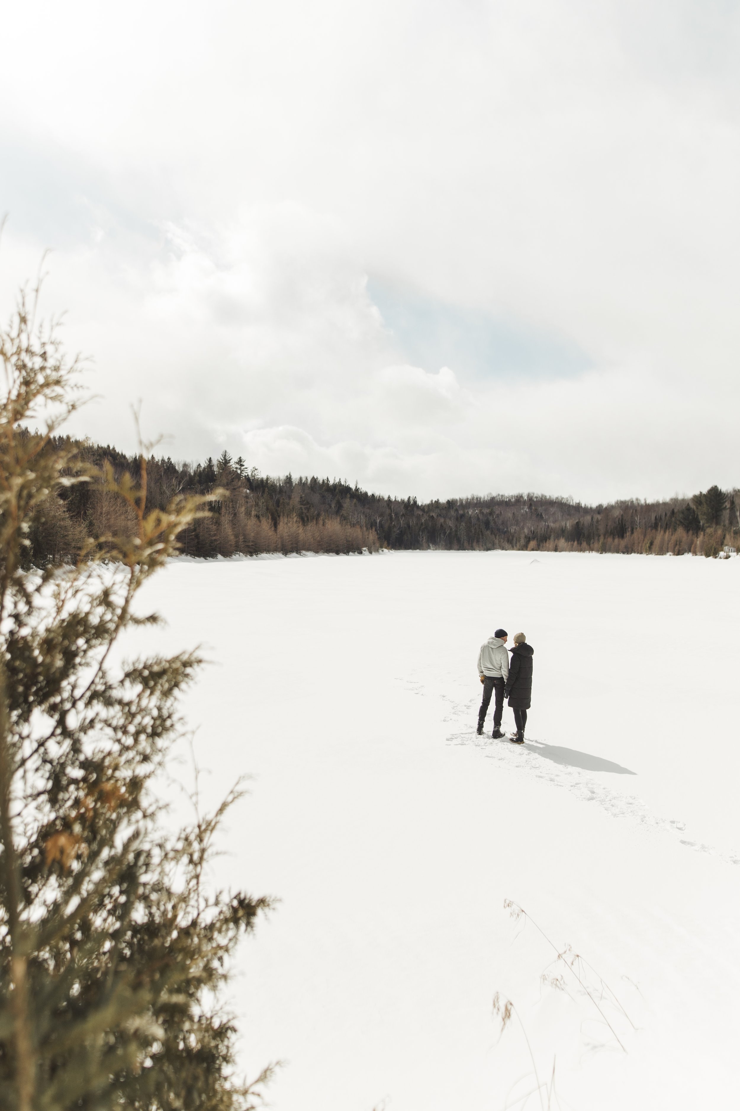 Epreuve_Commercial_Livre-Les-Belles-Combines_Dominique-Berneche_Tome-2_Mars-2023_Hiver-Printemps_LALOR-photographie-791.jpg