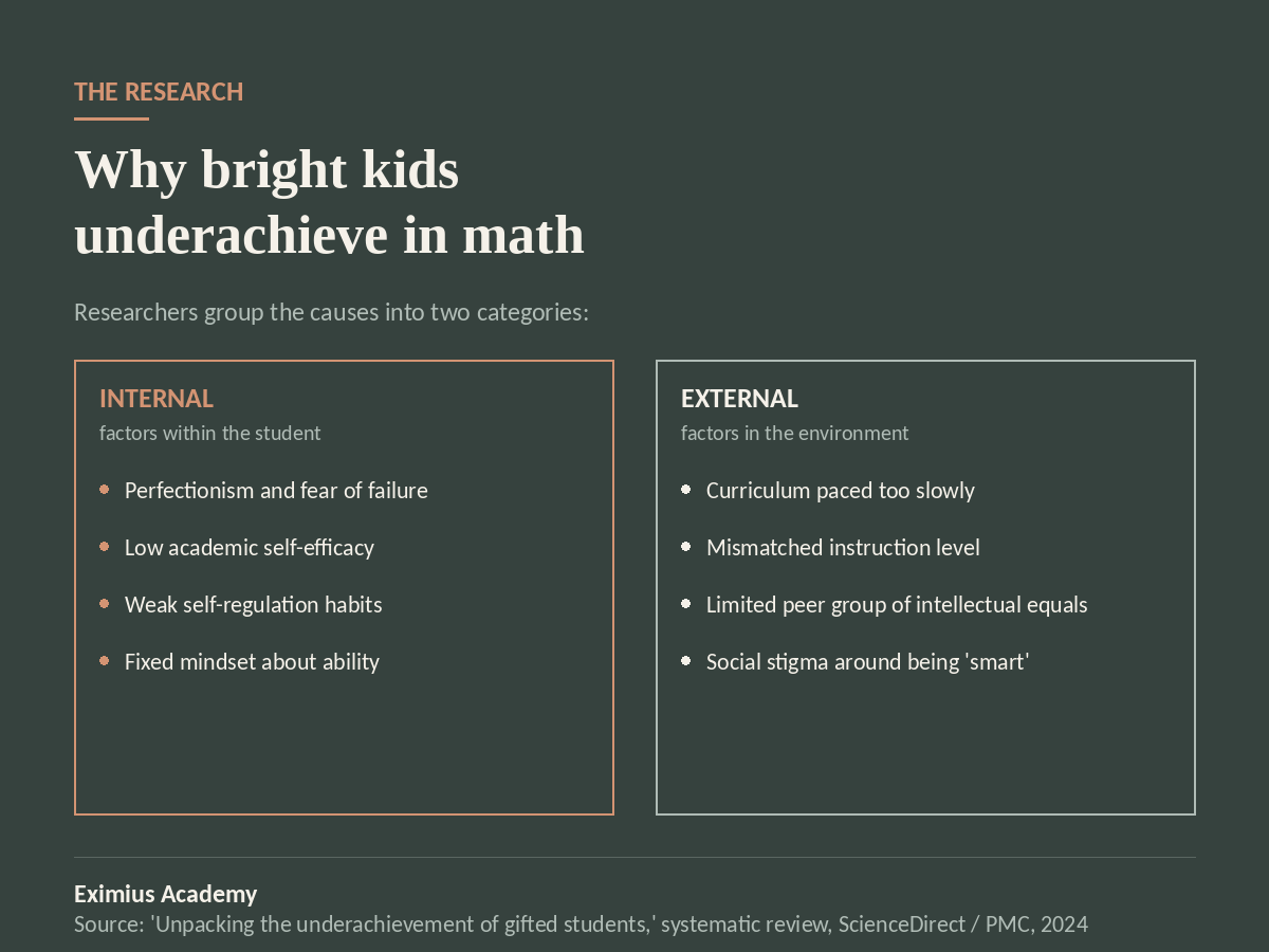 Why Bright Kids Underachieve in Math (and What Actually Helps)