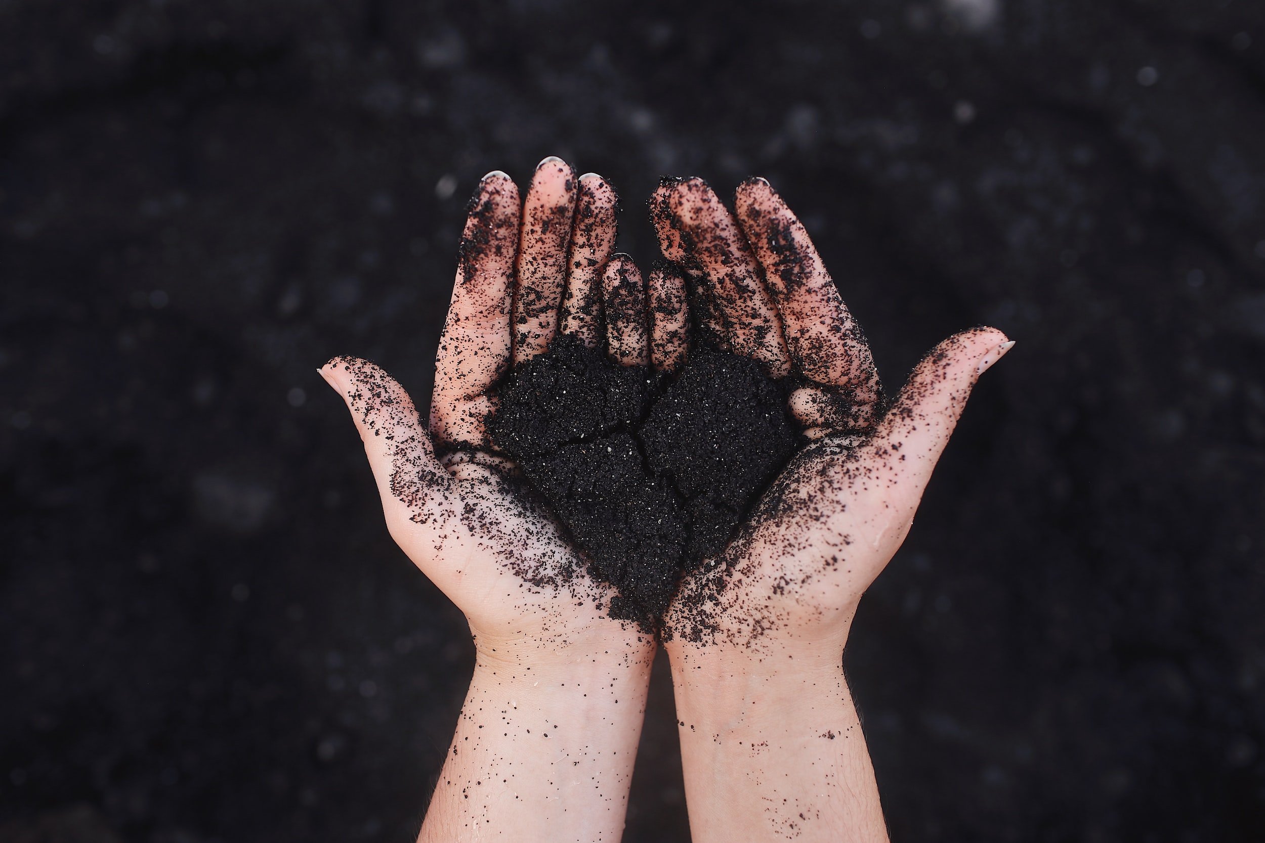 The Heart Is Deceitful above All Things (A Poem)