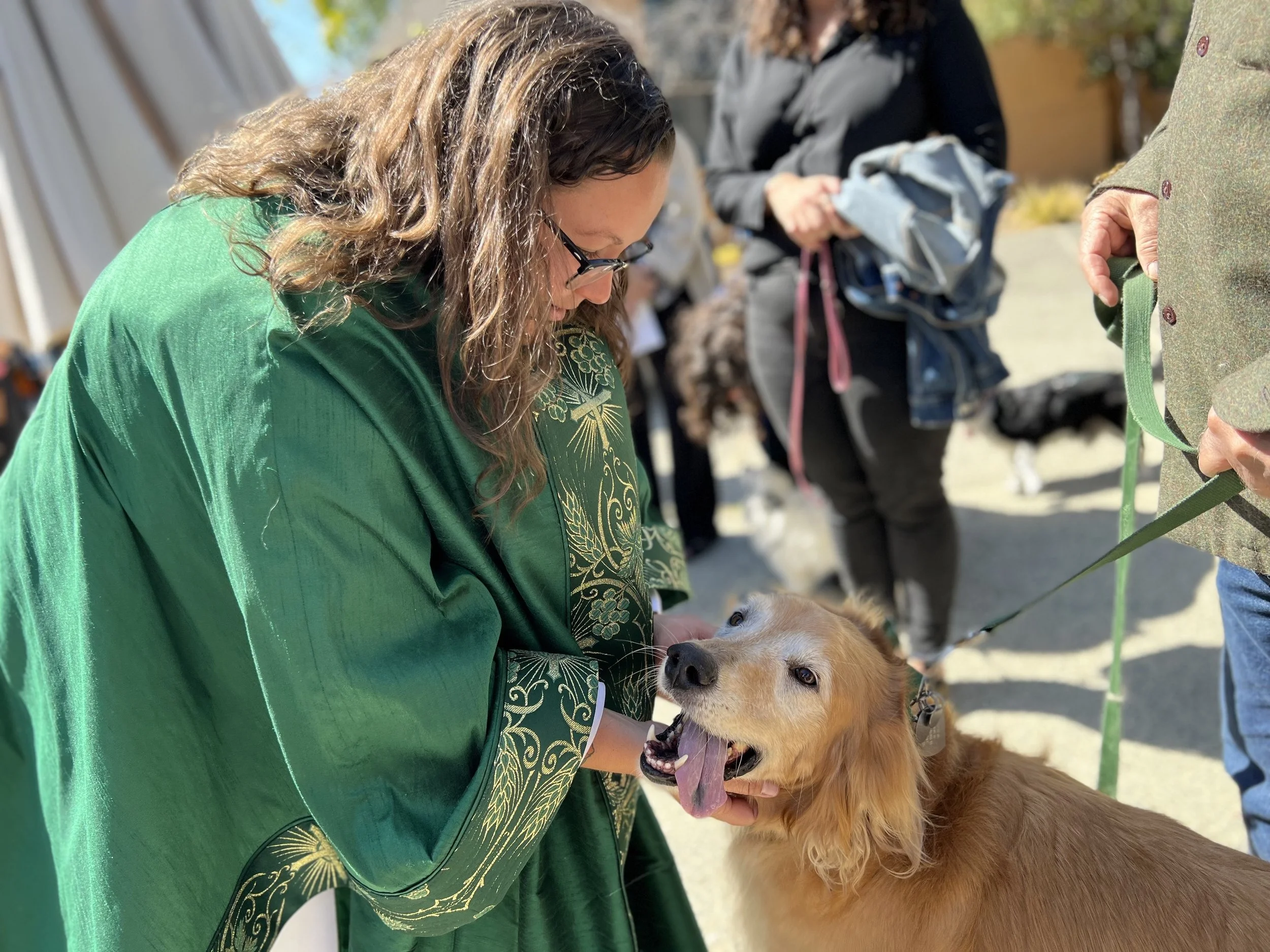 Feast of St. Francis Sunday & Blessing of the Animals