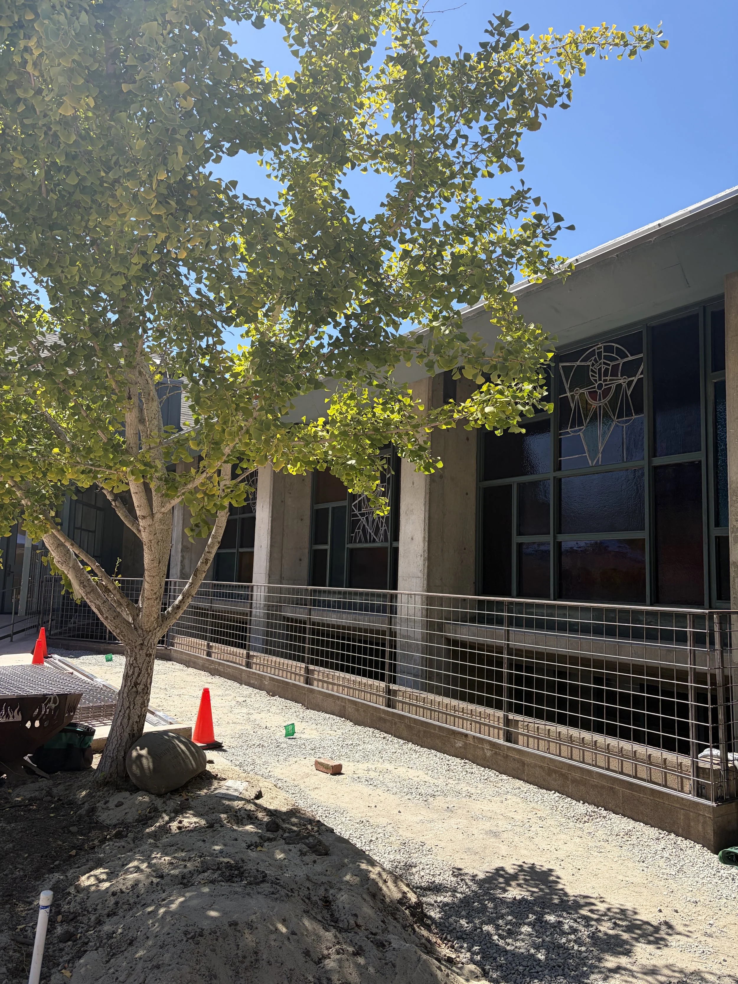 Courtyard after pic.jpg