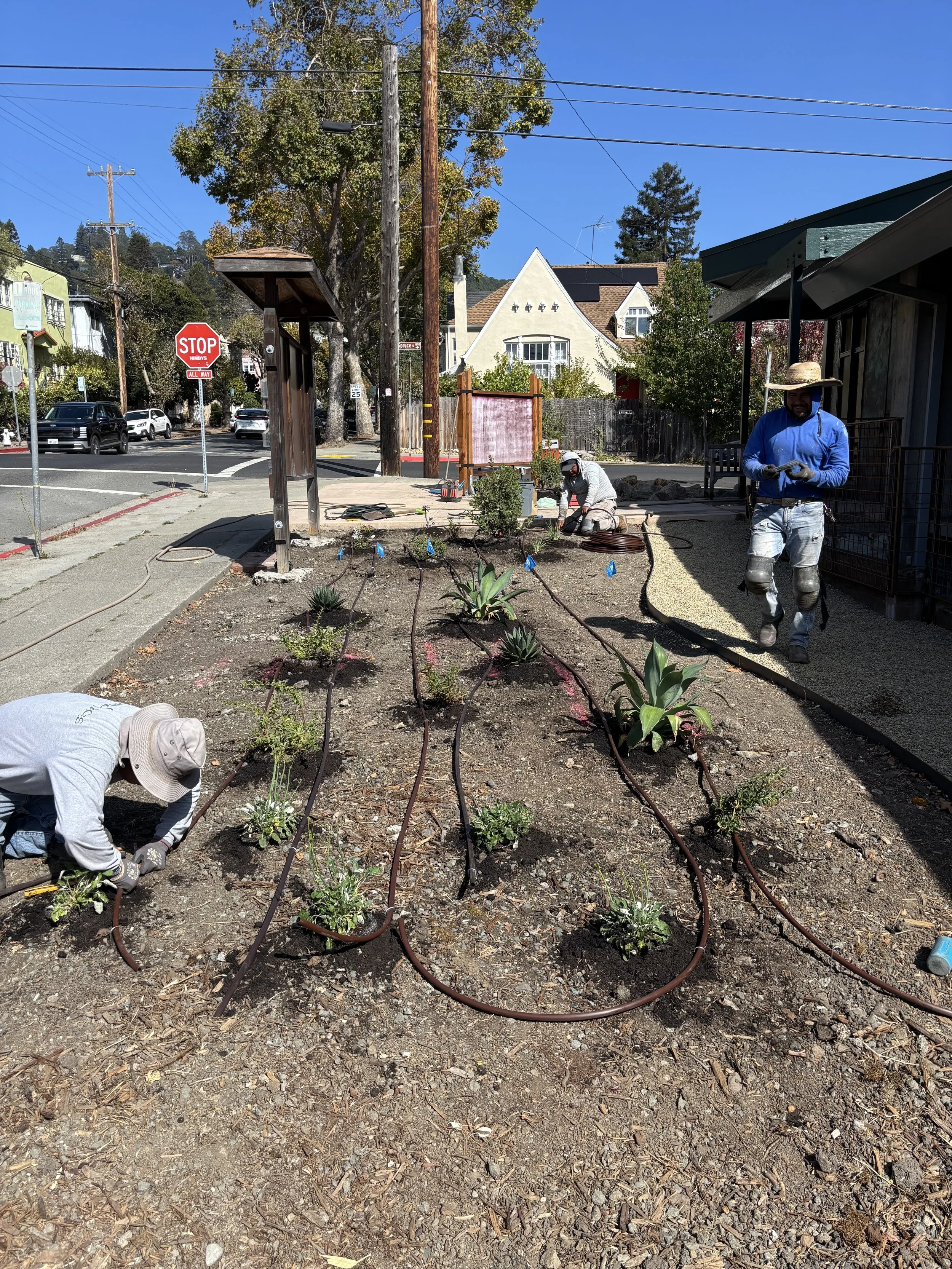 3 crew irrigating.jpg