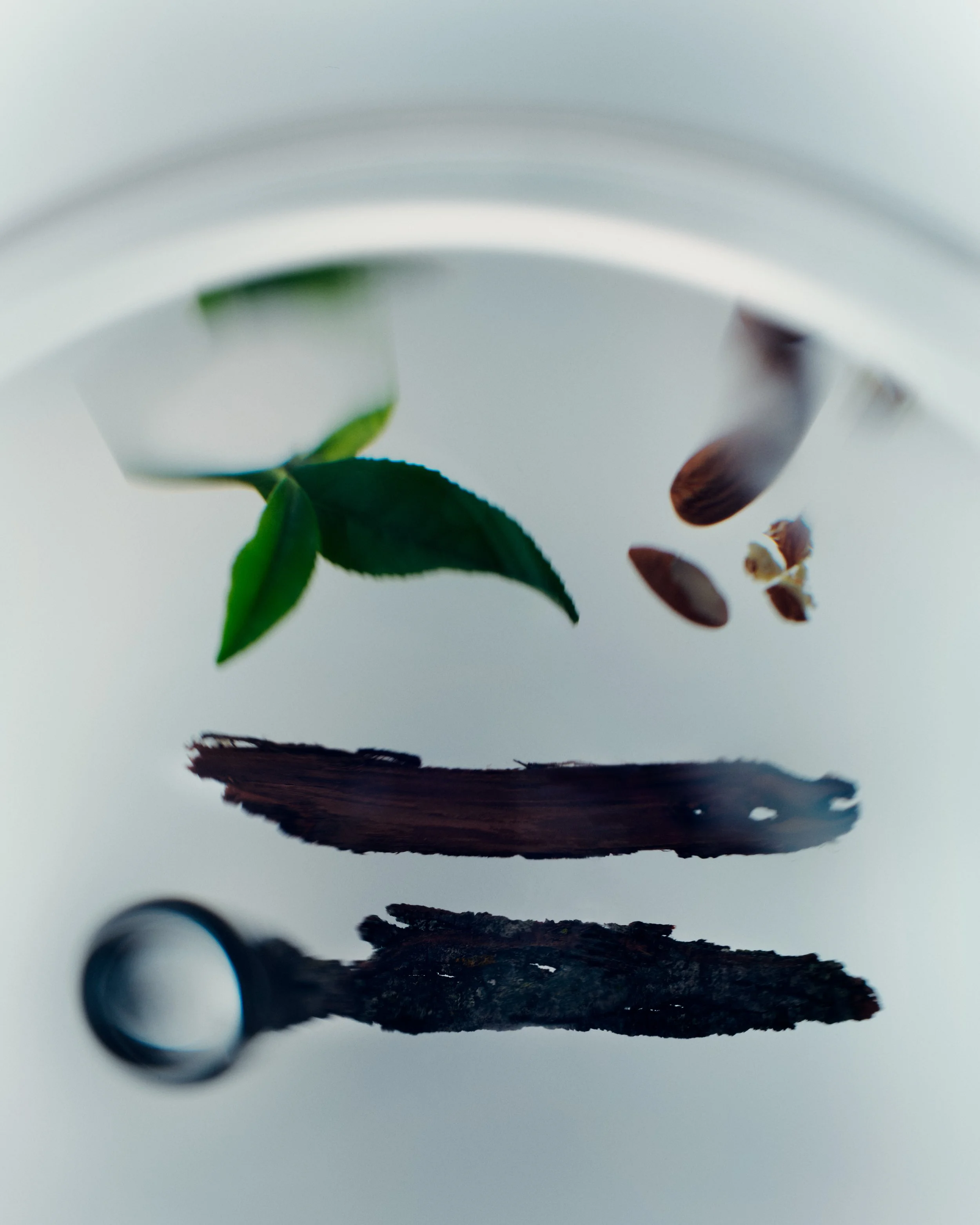 260527_Timeline_S25_Ingredients_OrganicElements_0868_Hero-FINAL.jpg