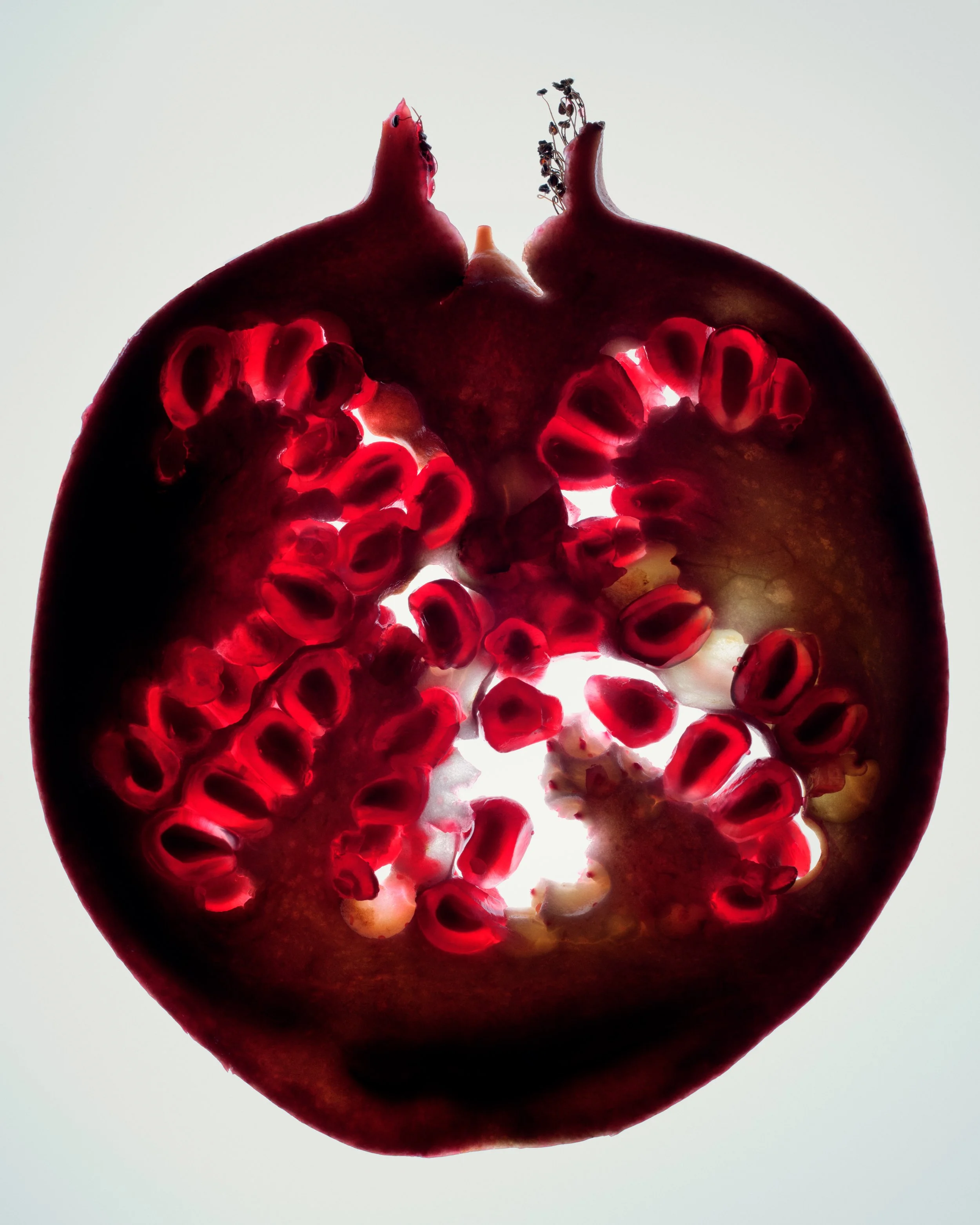 260527_Timeline_S22_PomegranateSeeds_0722-FINAL.jpg