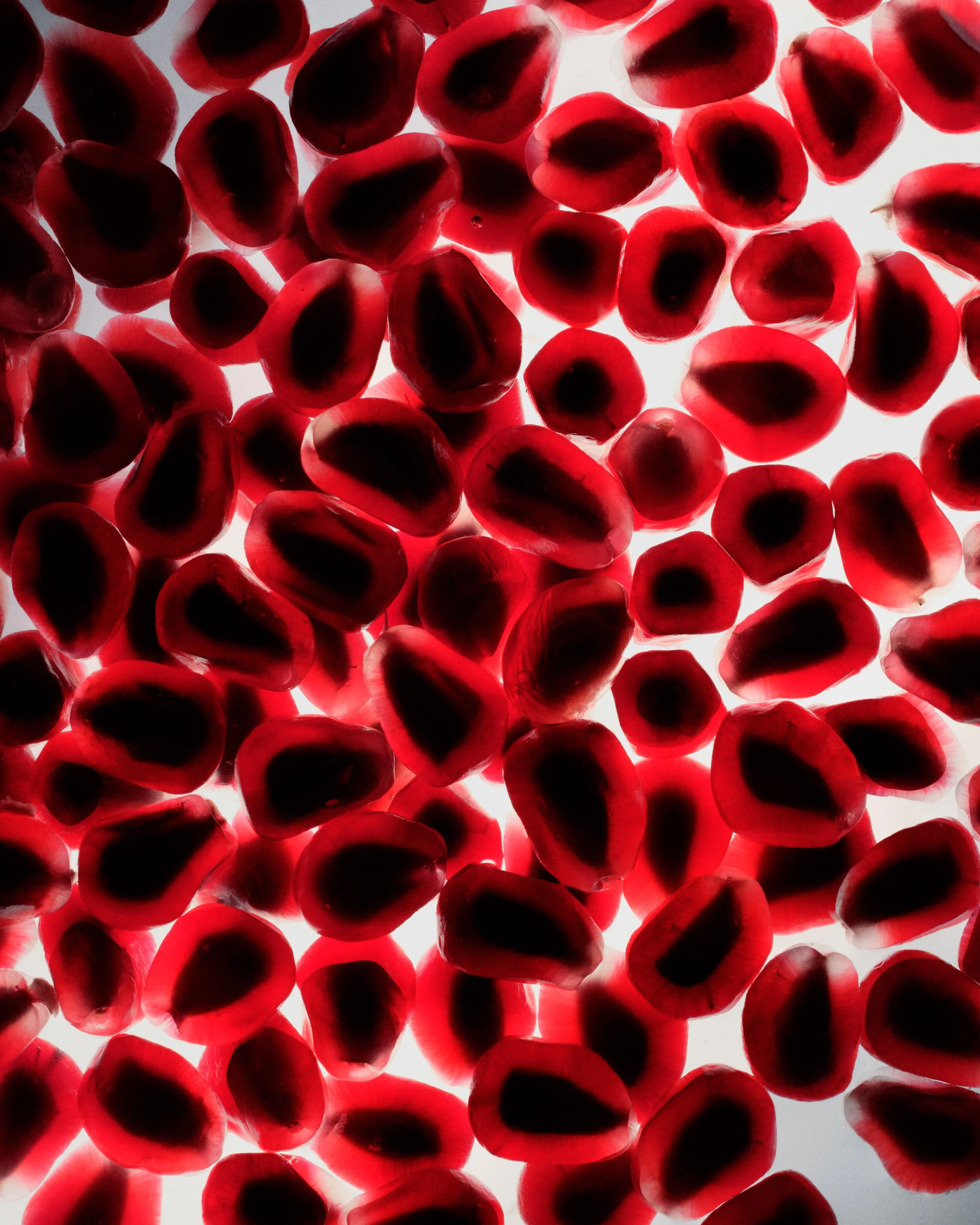 260527_Timeline_S22_PomegranateSeeds_0743-FINAL-b.jpg