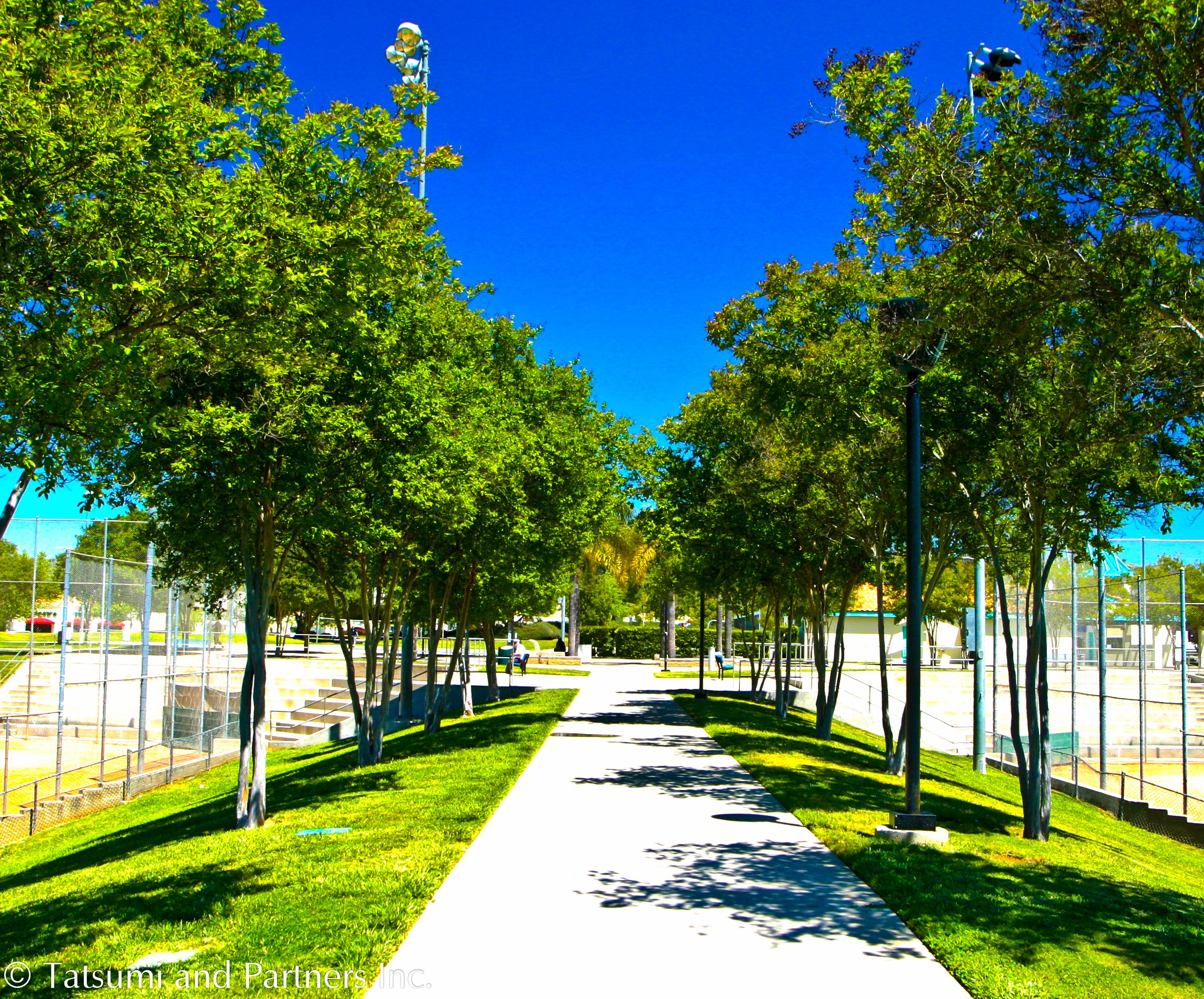 Park_Cal+Oaks_Landscape+3.jpg