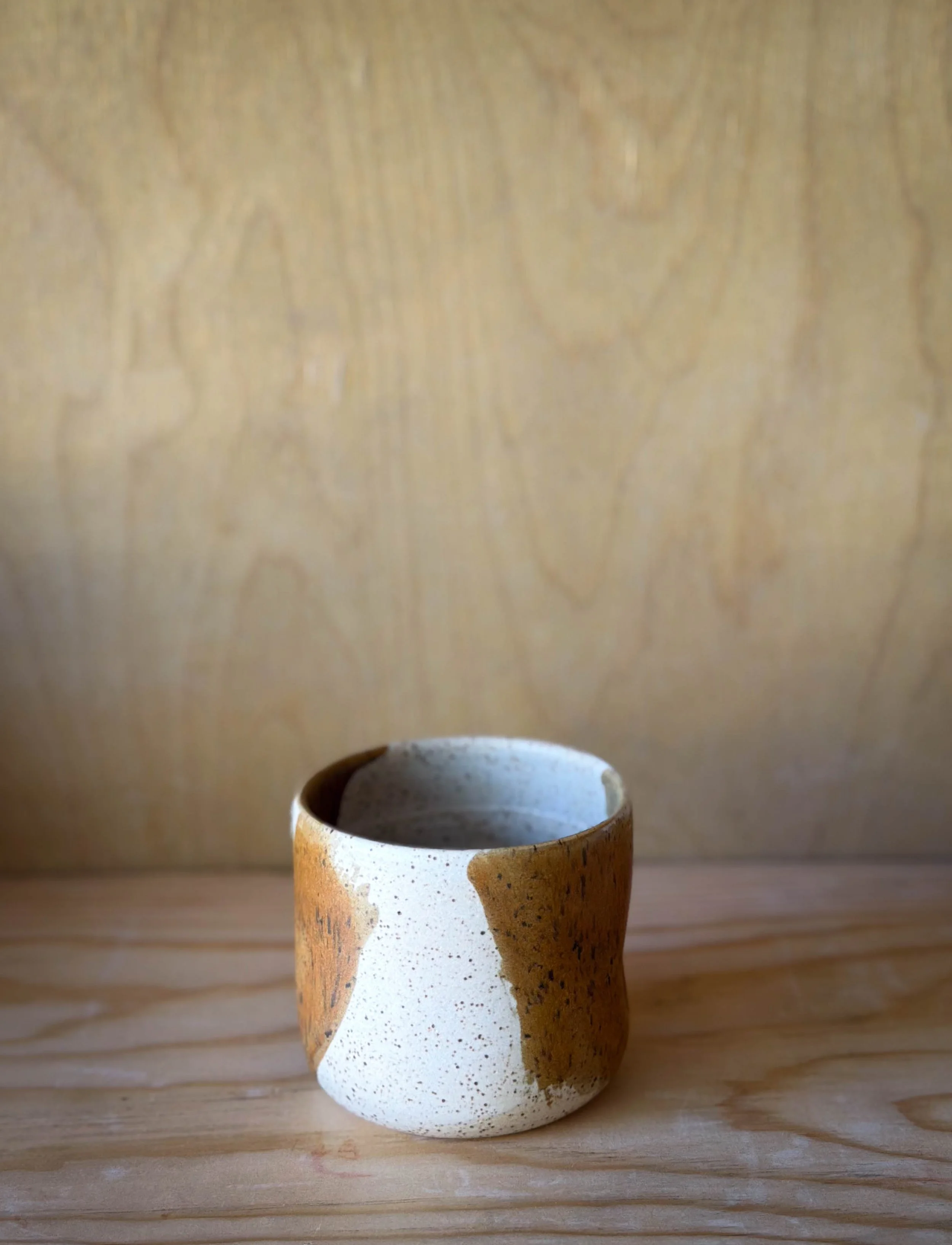 IMG_7053.jpg