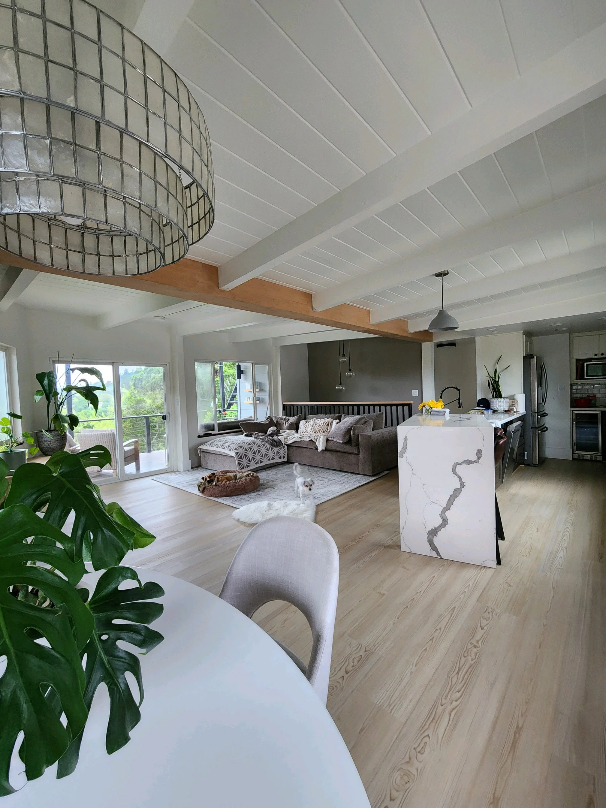 Dave Molinari Remodel.jpg