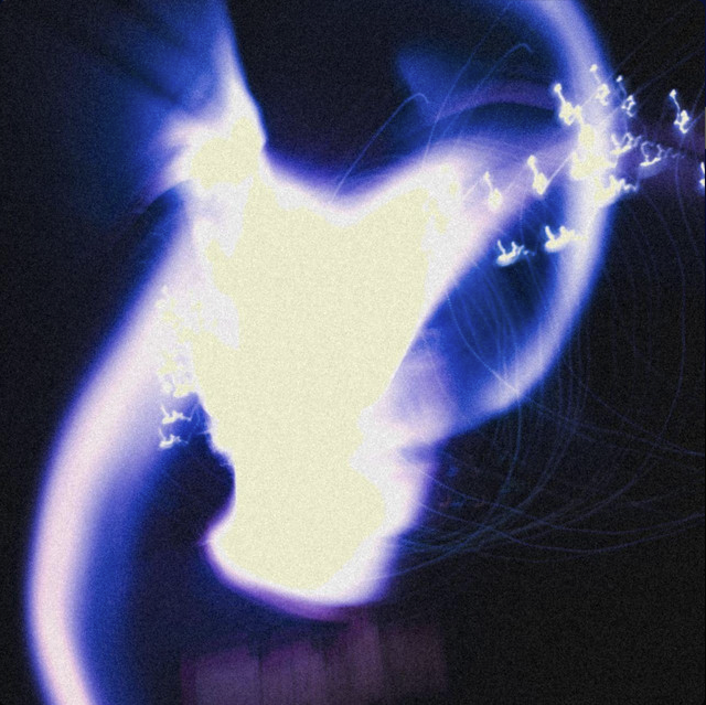 IL RITUALE DELLE LUCI